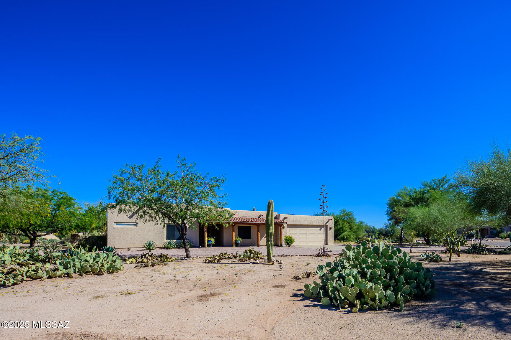 14061 E Placita Mochuelo