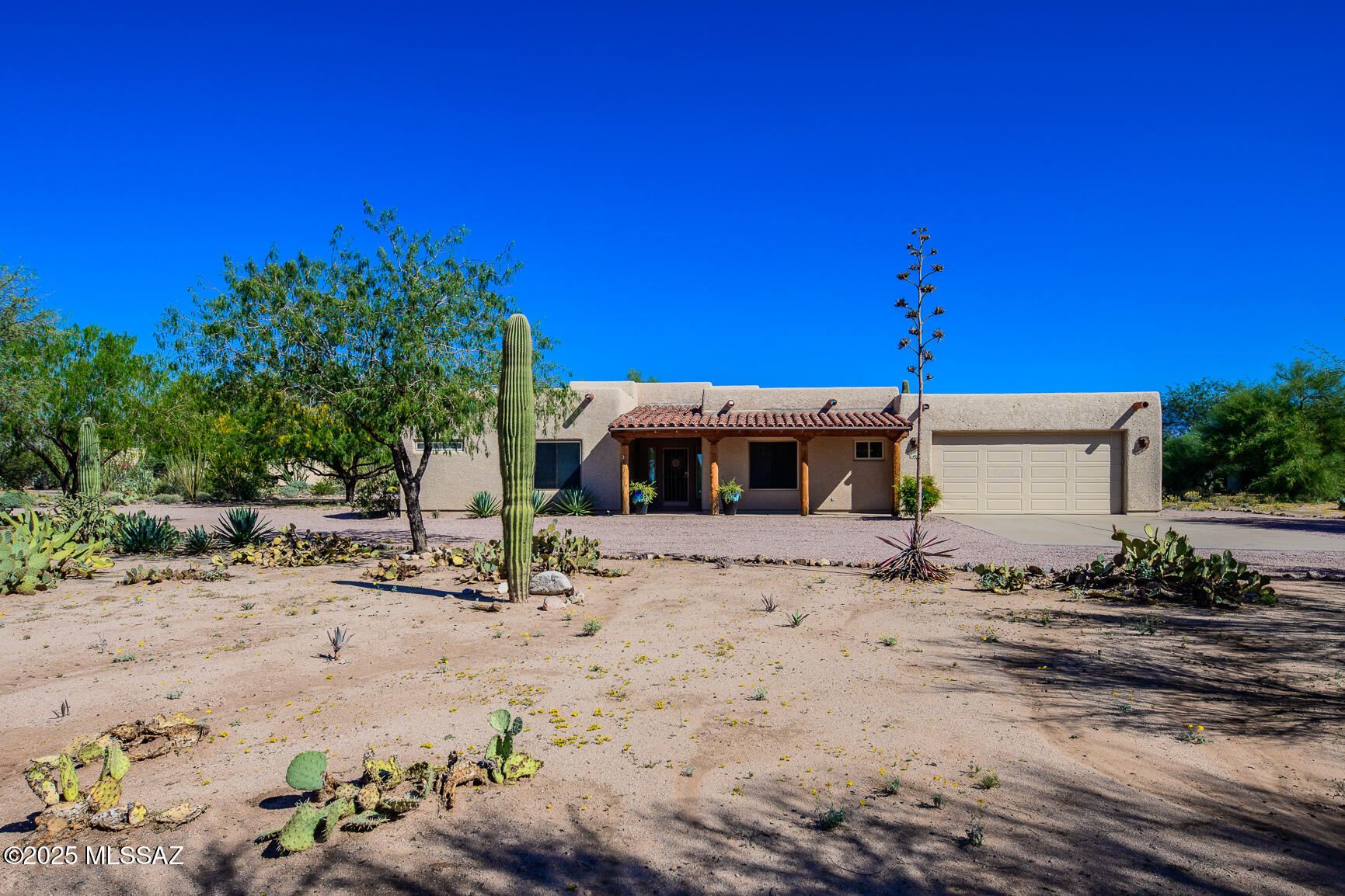 14061 E Placita Mochuelo