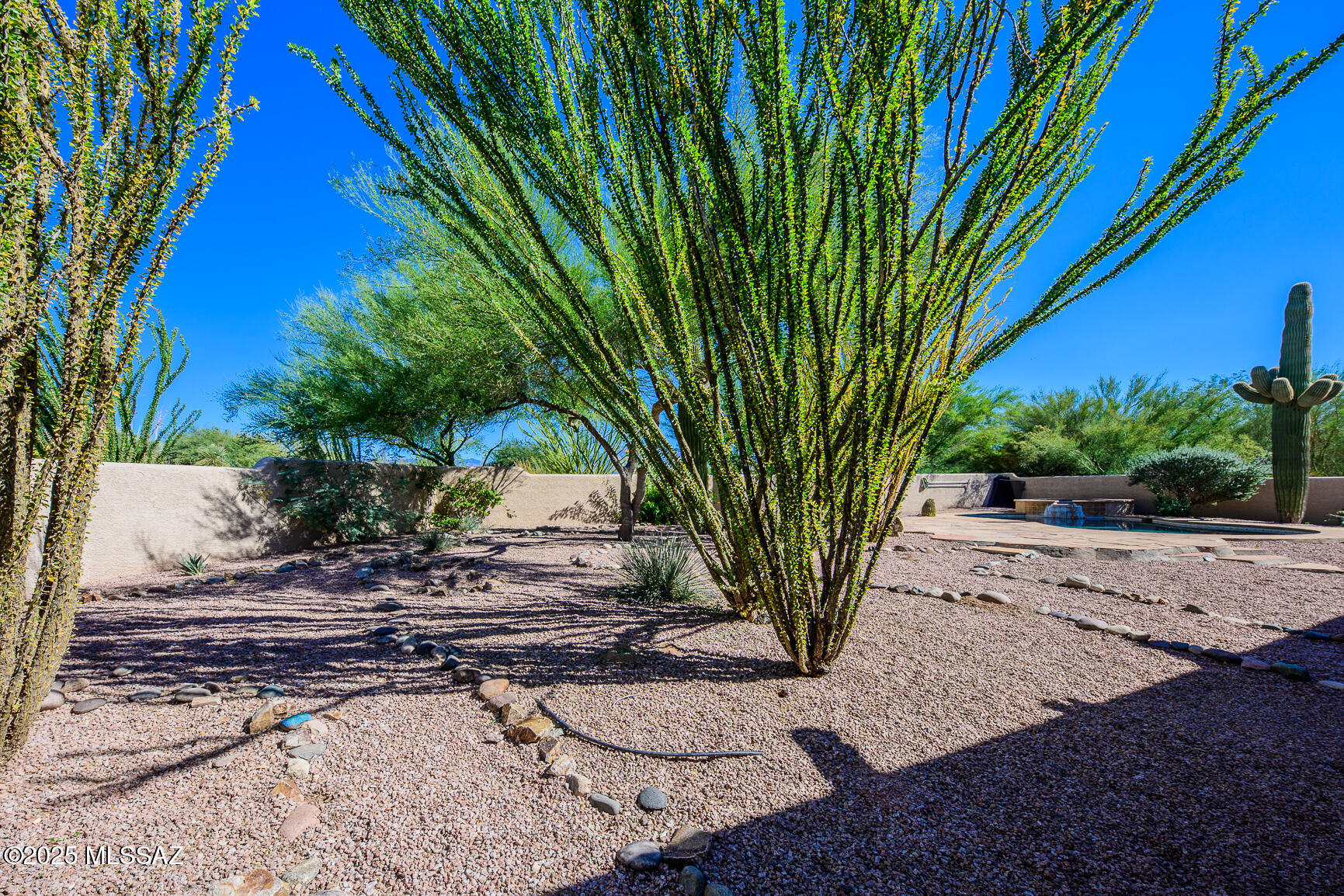 14061 E Placita Mochuelo