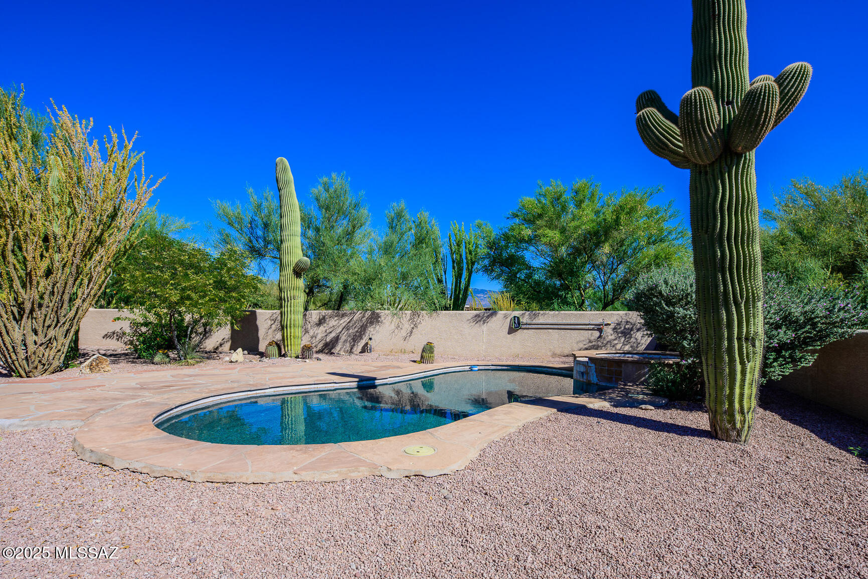 14061 E Placita Mochuelo