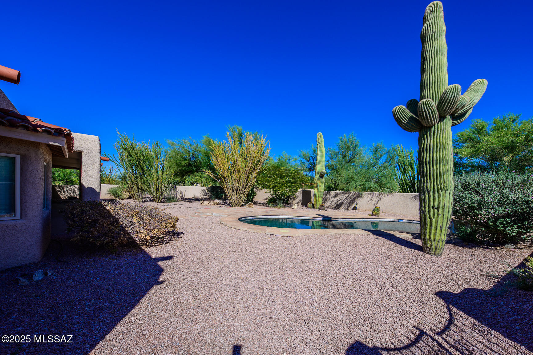 14061 E Placita Mochuelo