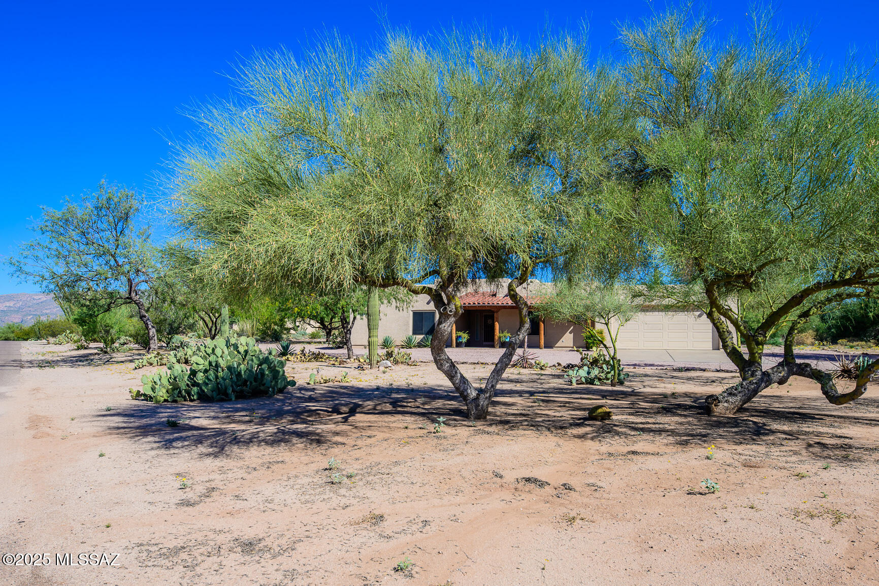 14061 E Placita Mochuelo