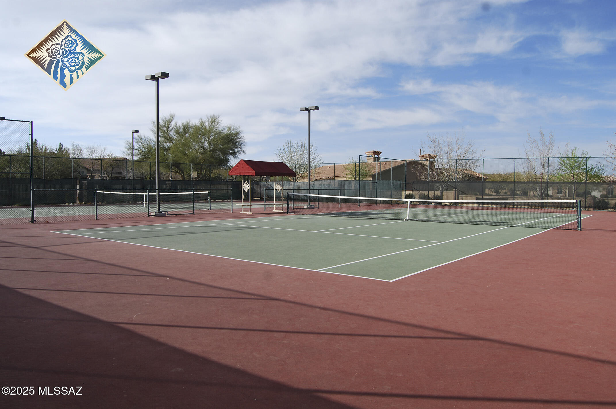 252 E Monterey Cypress Street