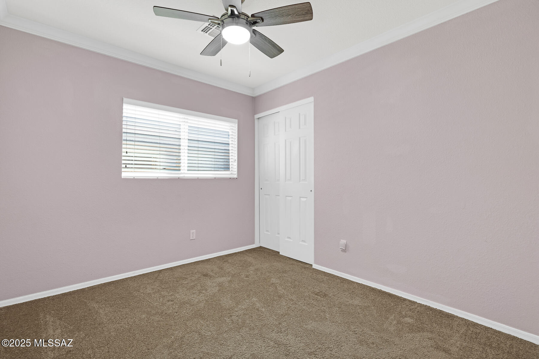 252 E Monterey Cypress Street