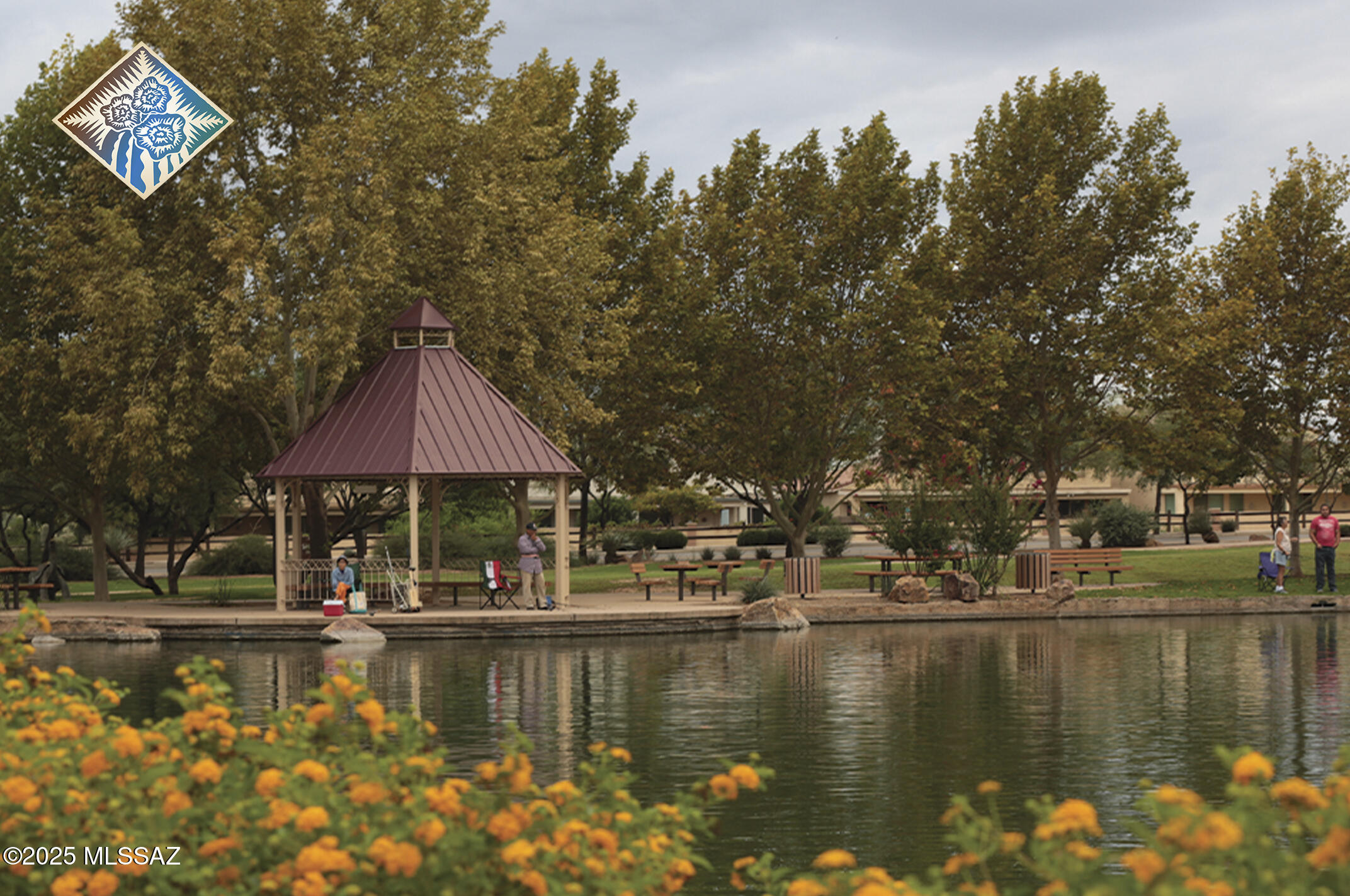 252 E Monterey Cypress Street