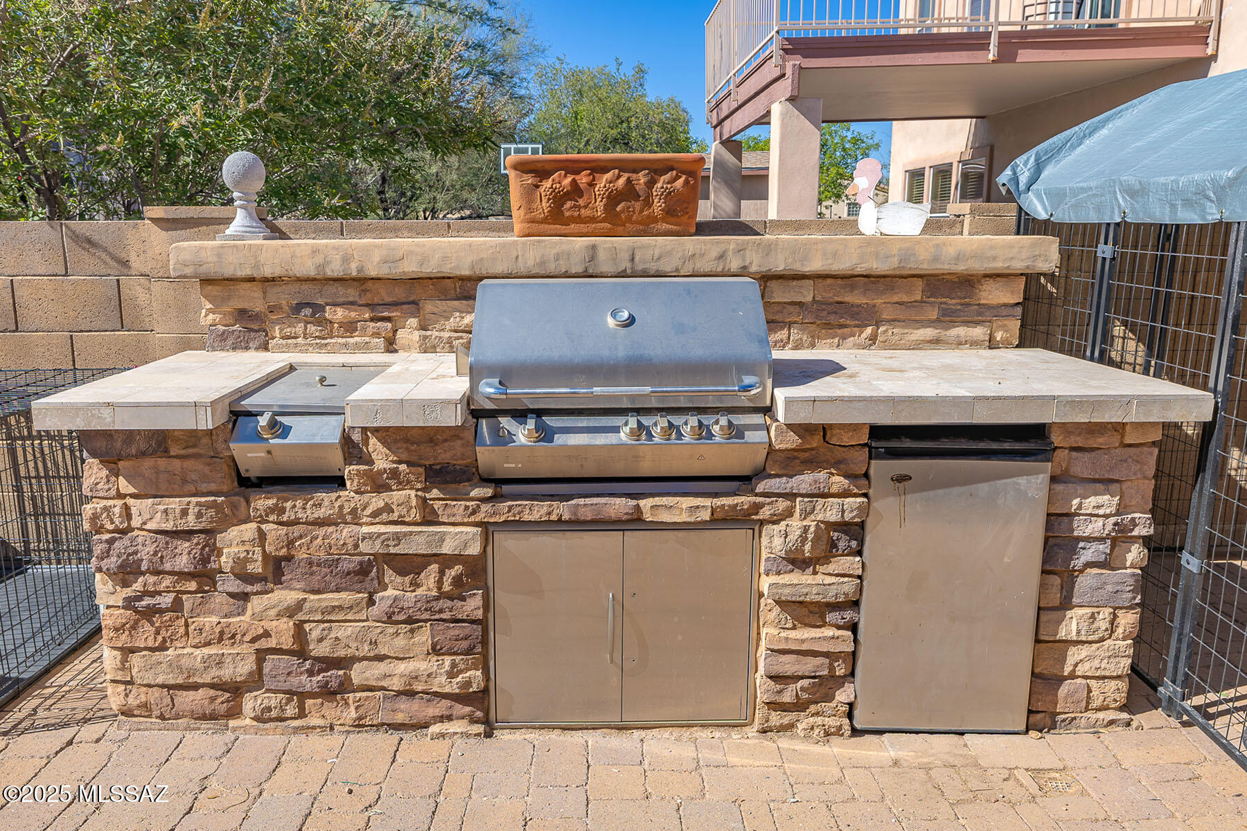 252 E Monterey Cypress Street