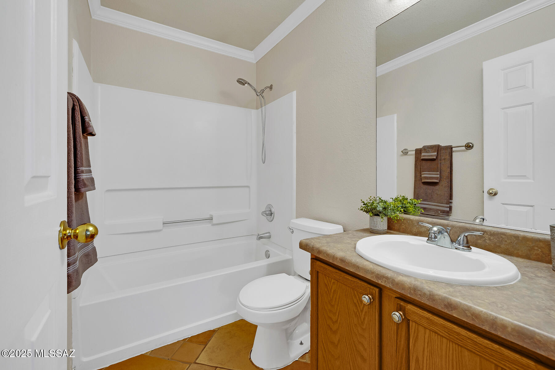 252 E Monterey Cypress Street