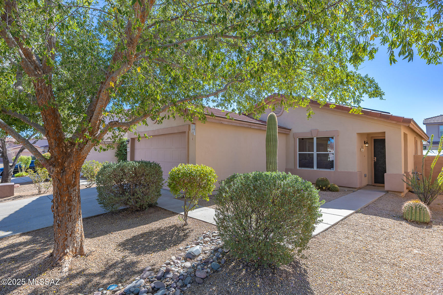 252 E Monterey Cypress Street