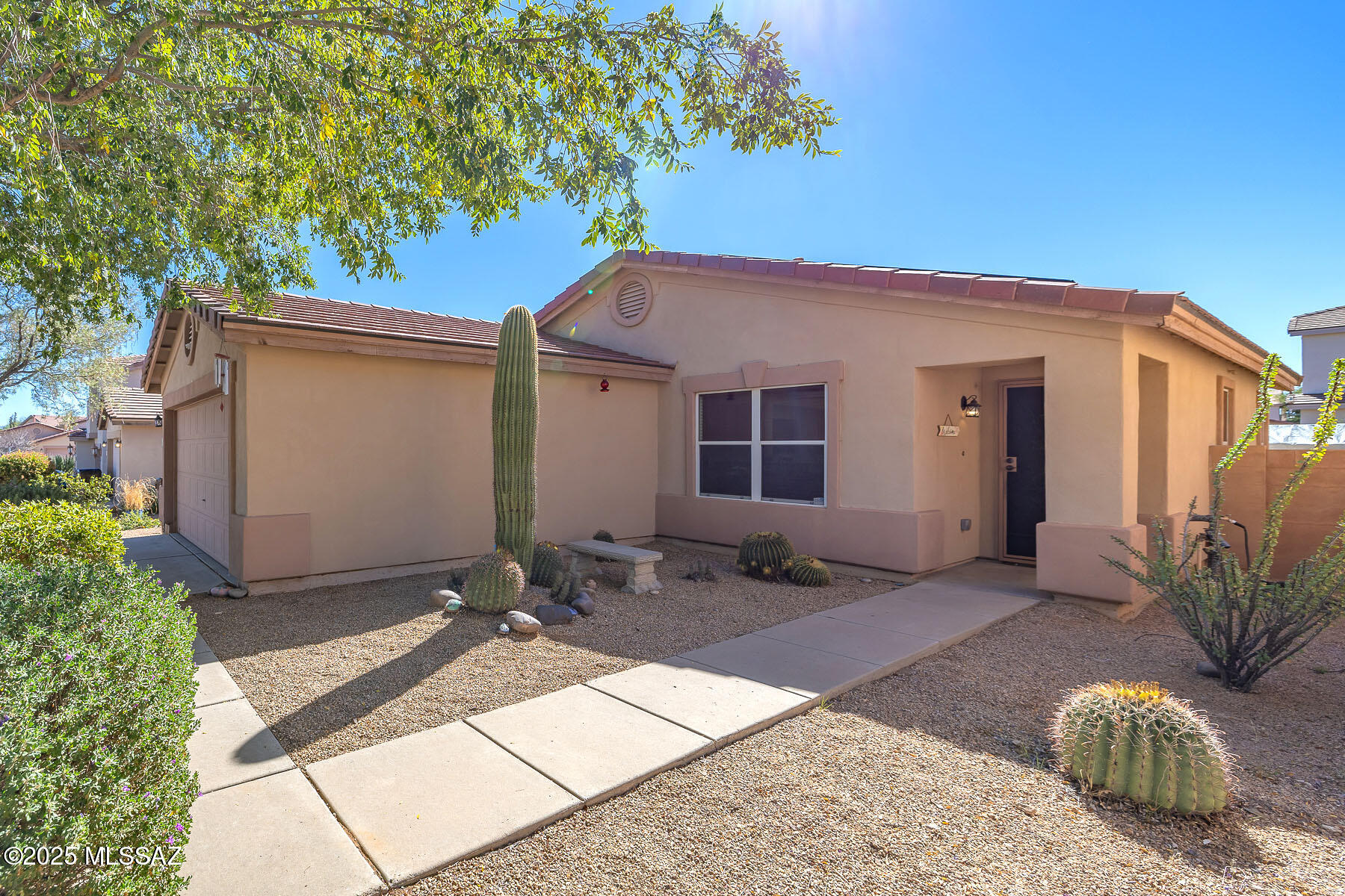 252 E Monterey Cypress Street