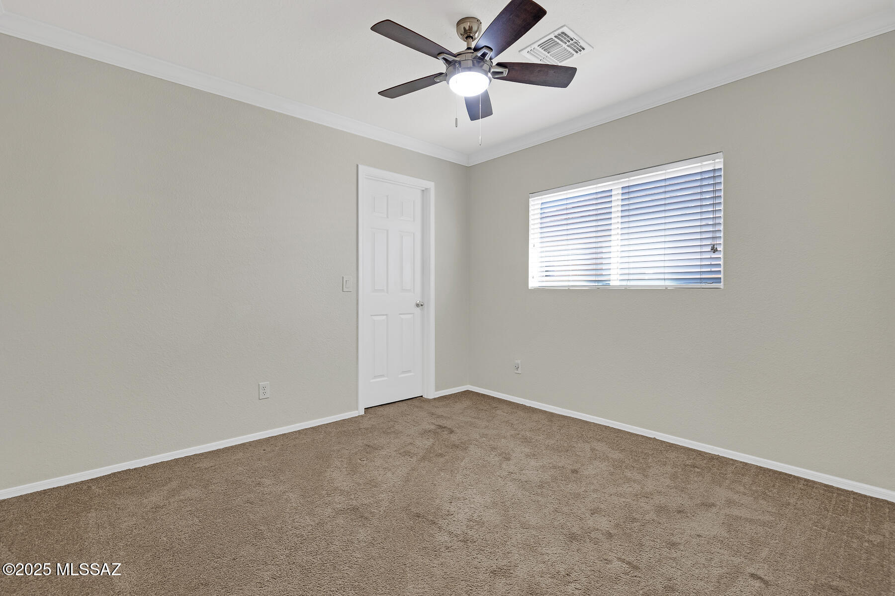 252 E Monterey Cypress Street