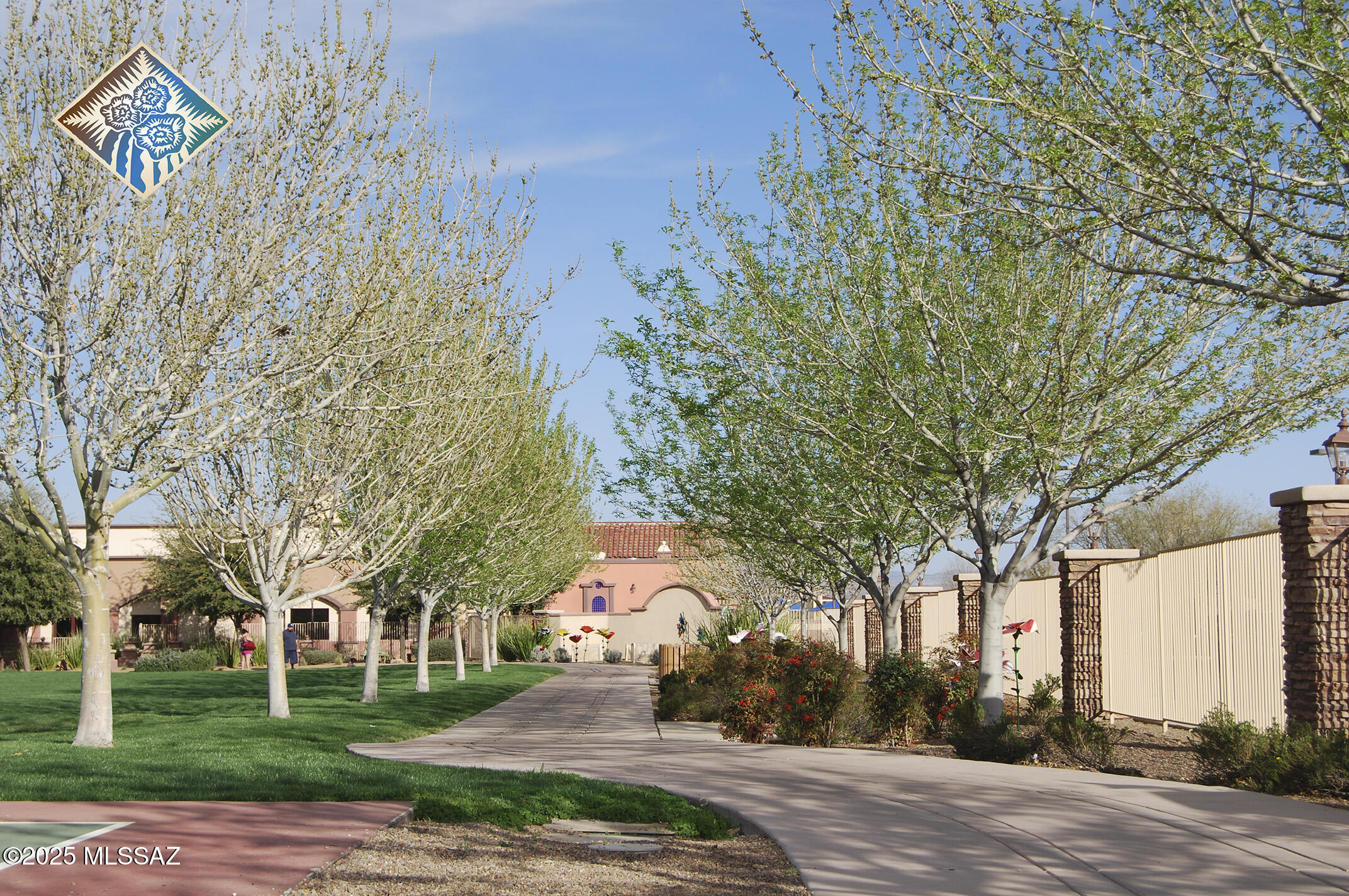 252 E Monterey Cypress Street