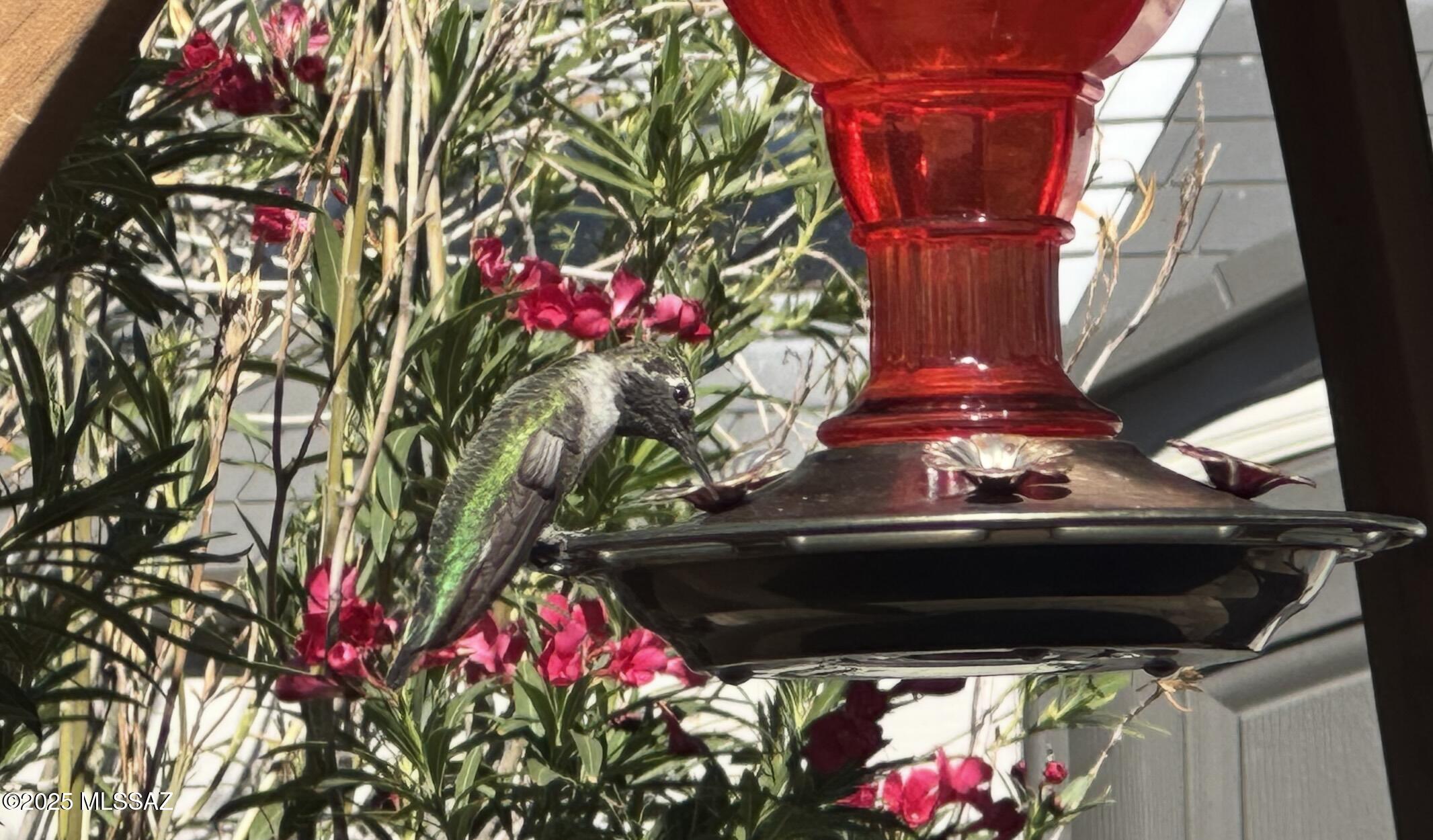 8807 E Mountain Spring Drive