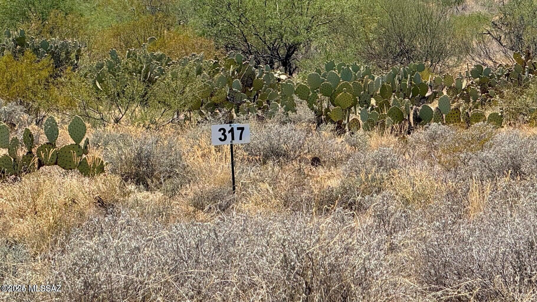 14314 E Sands Ranch Road 317