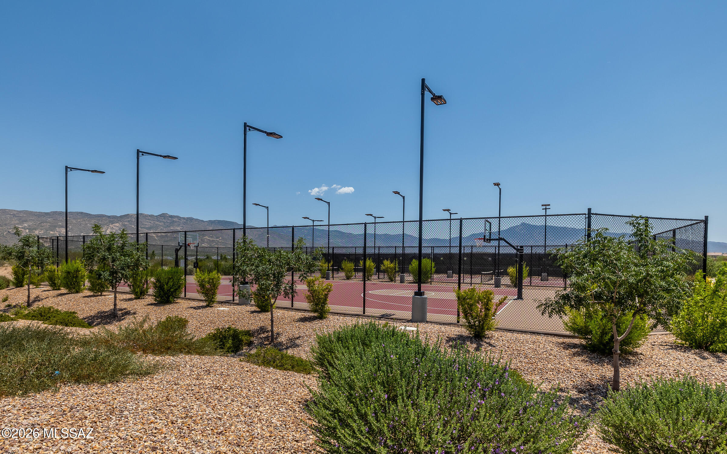 7888 S Golden Bell Drive