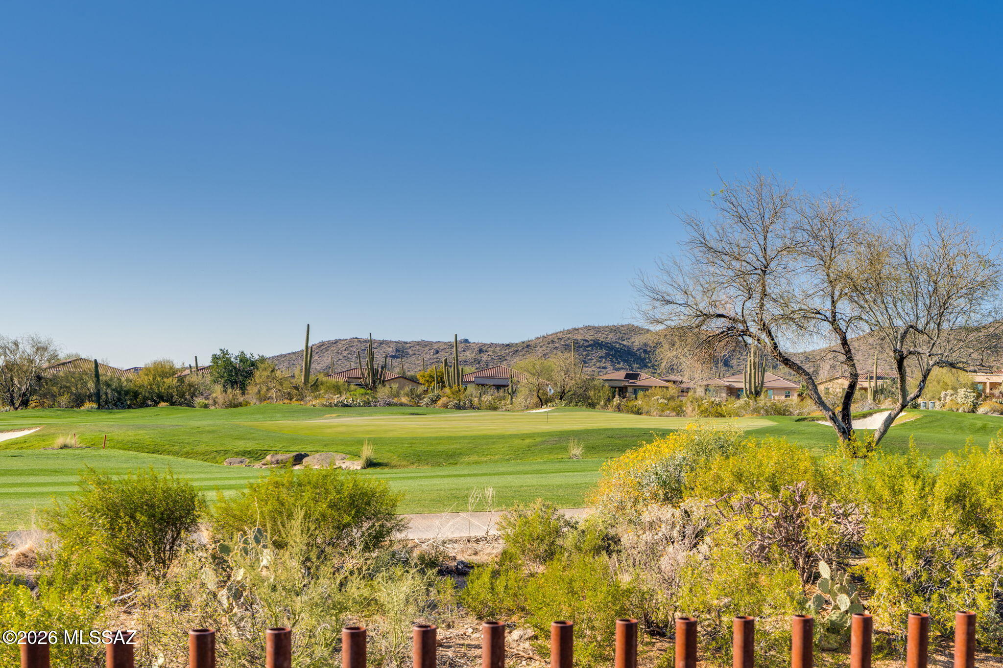 14195 N Los Saguaros Drive