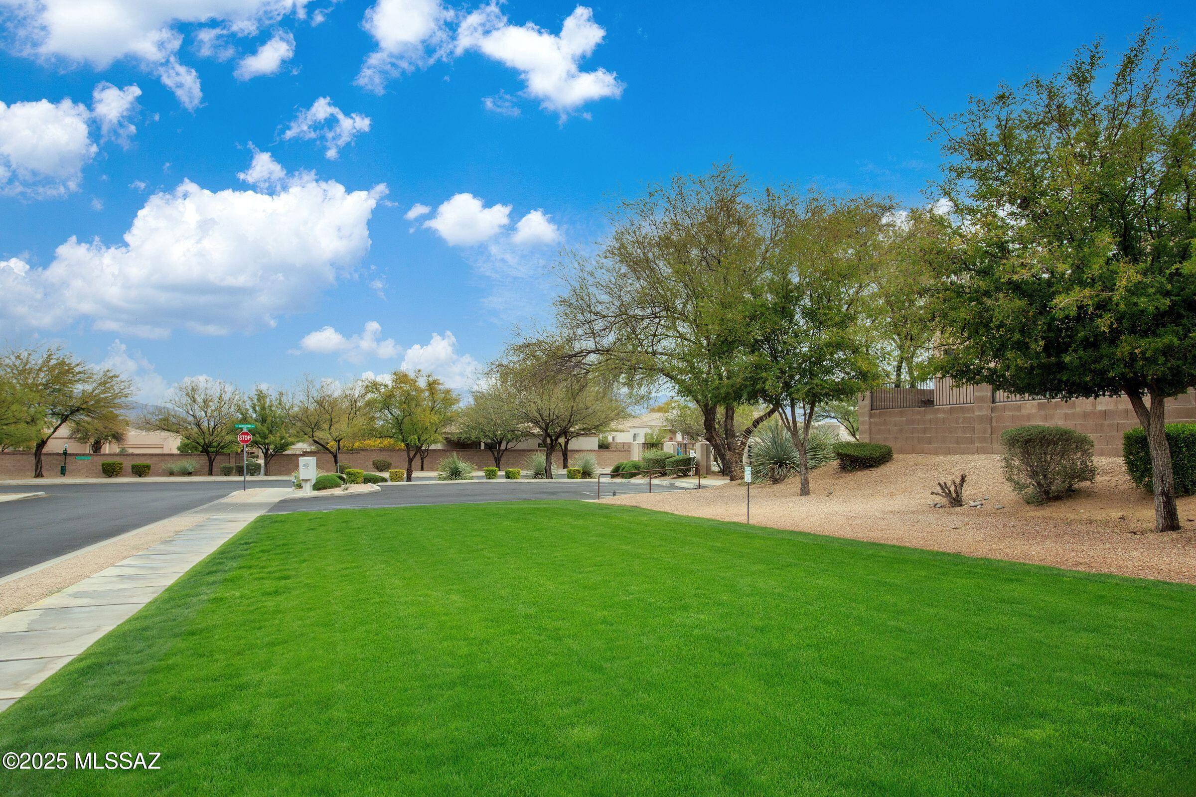 7364 E Placita Luz De La Luna