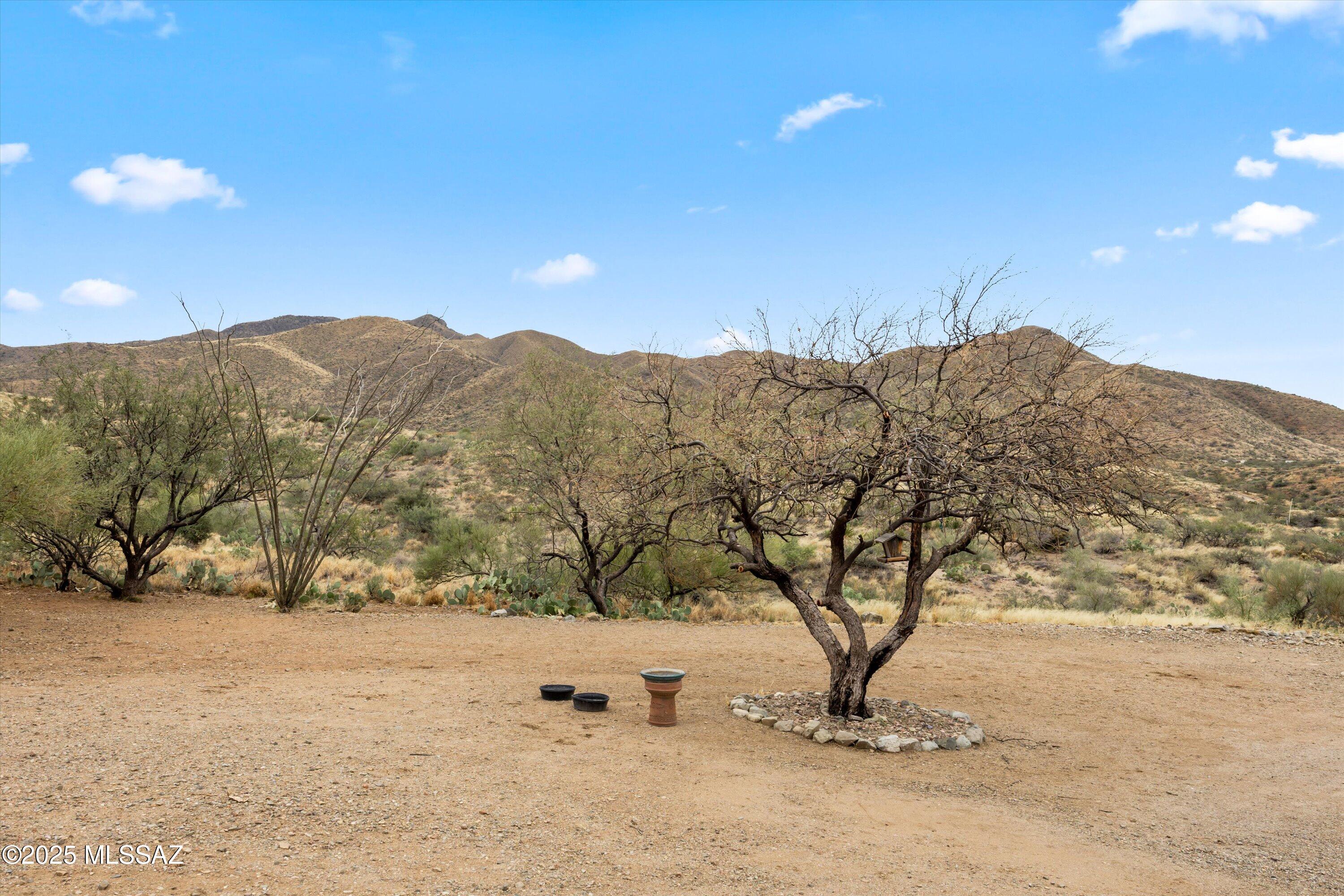 12000 E Camino Aurelia