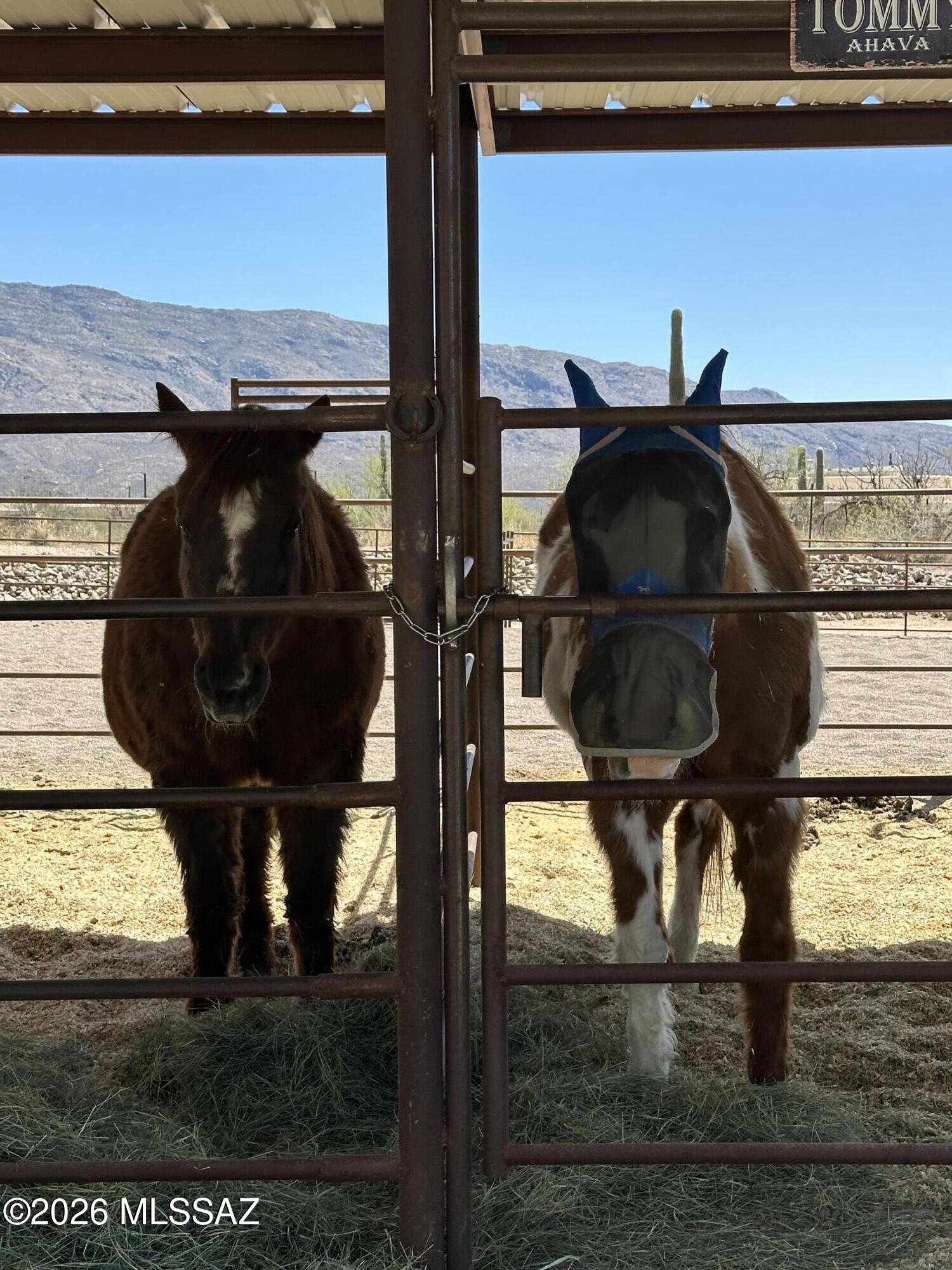 2305 N El Camino Rinconado