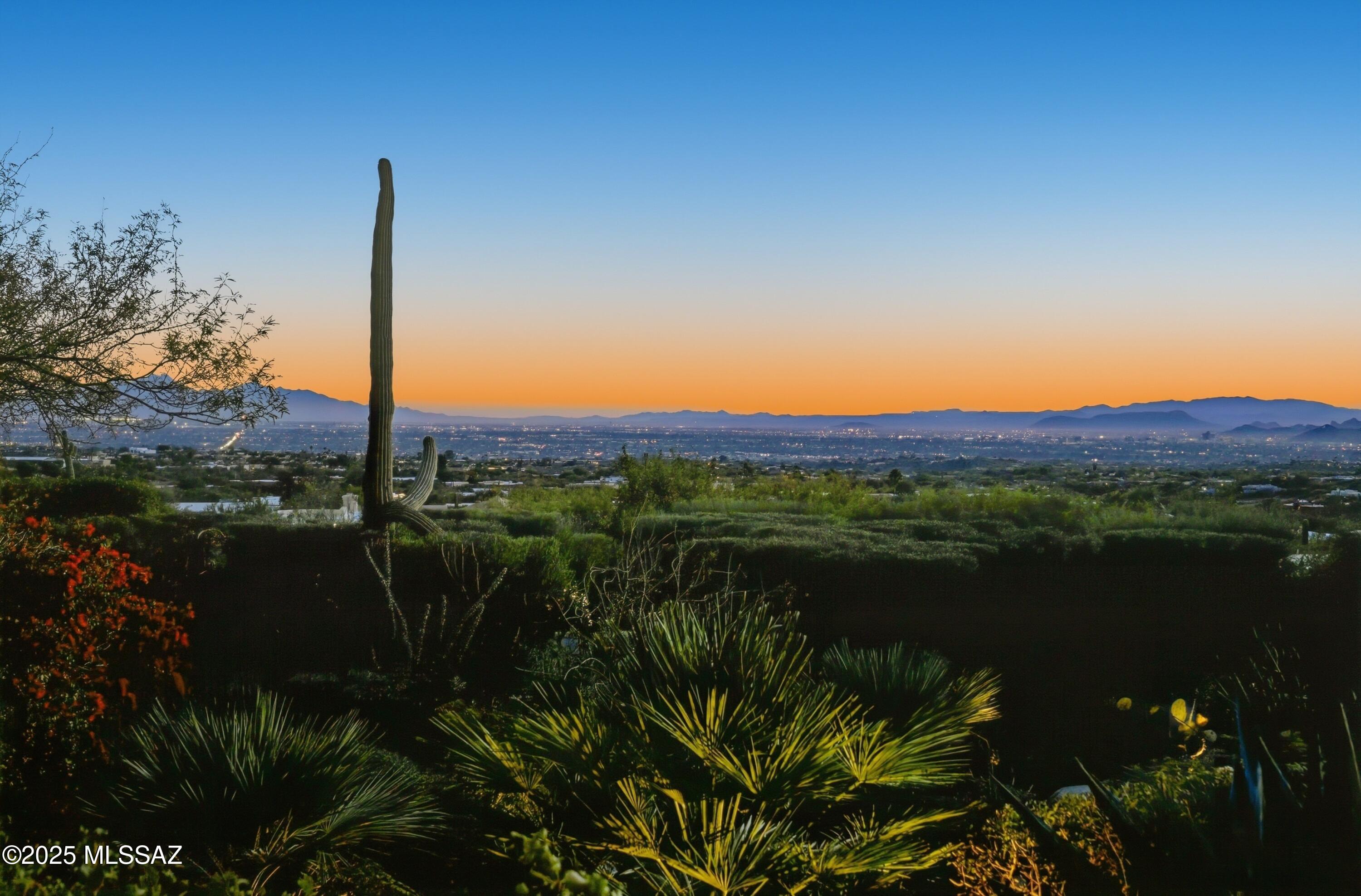 4565 E Don Jose Drive