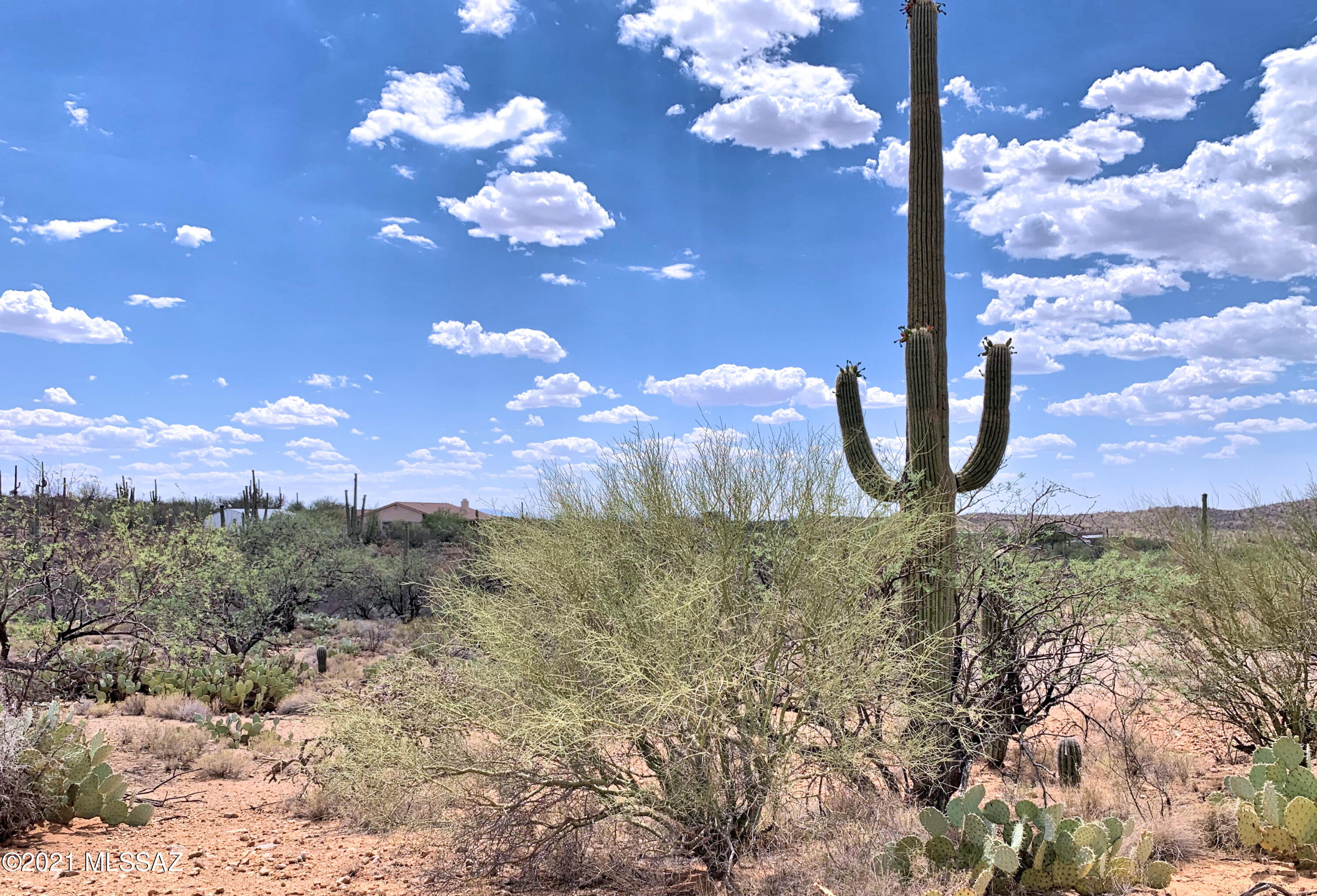 15810 E Colt Creek Place