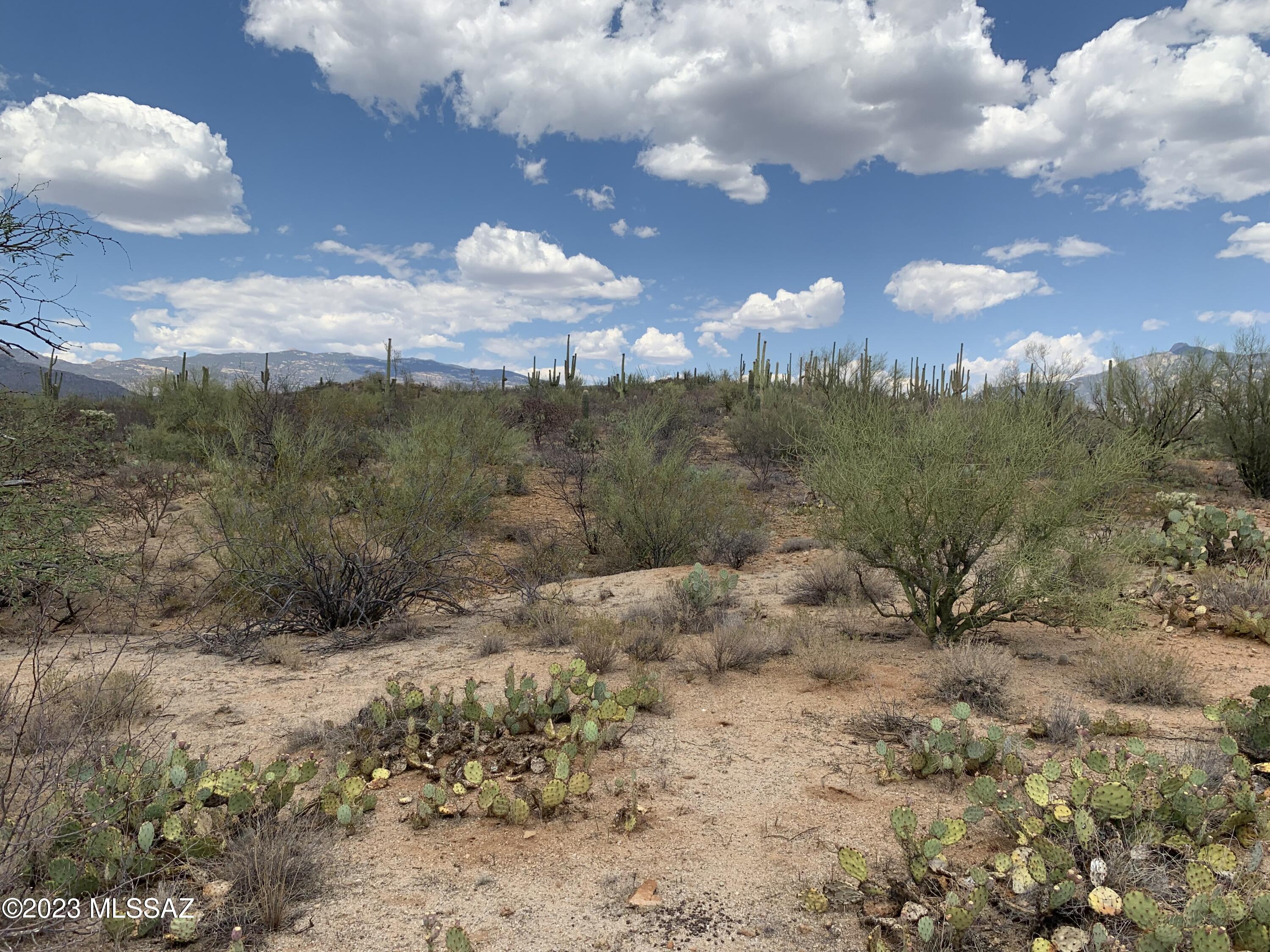 15810 E Colt Creek Place