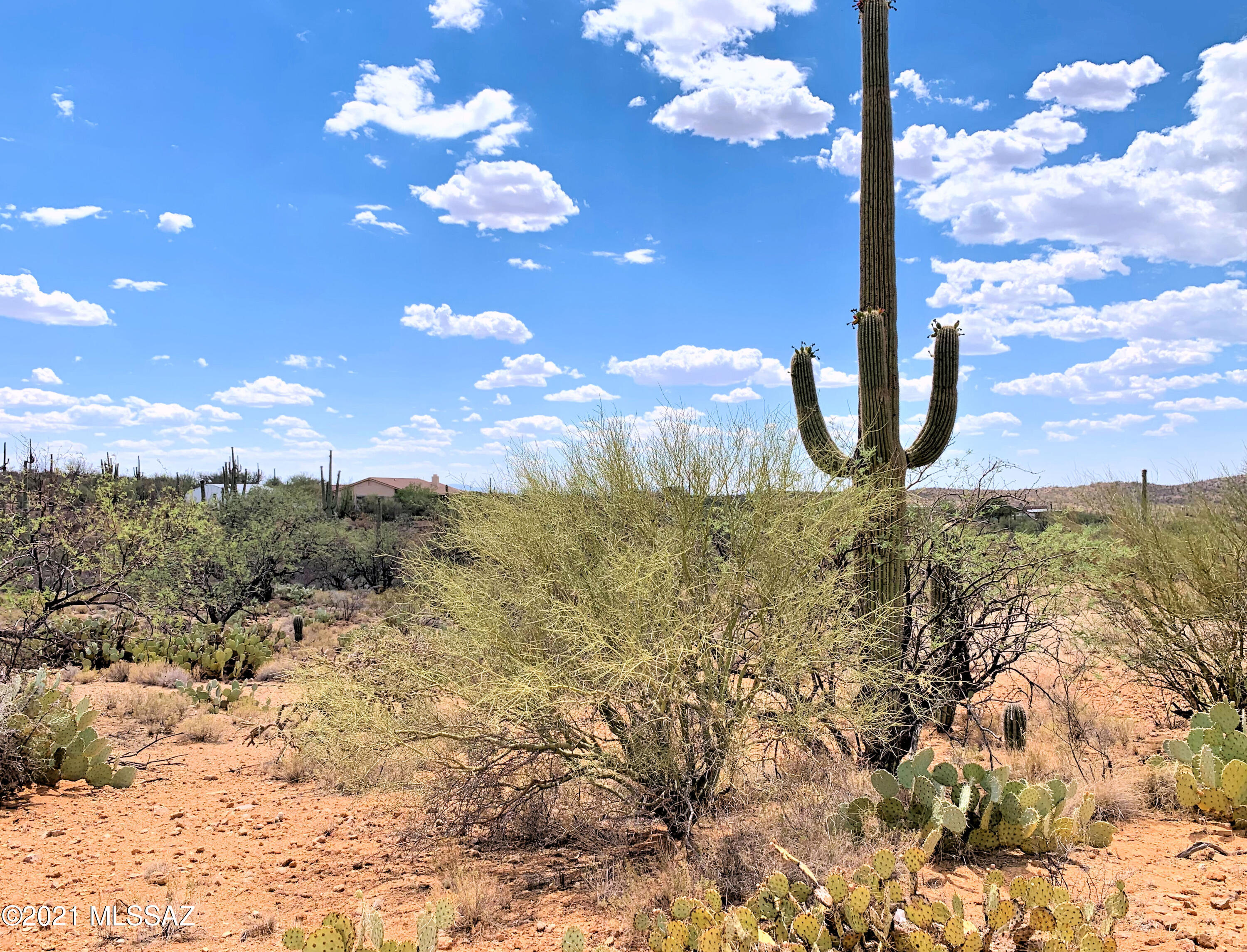 15810 E Colt Creek Place