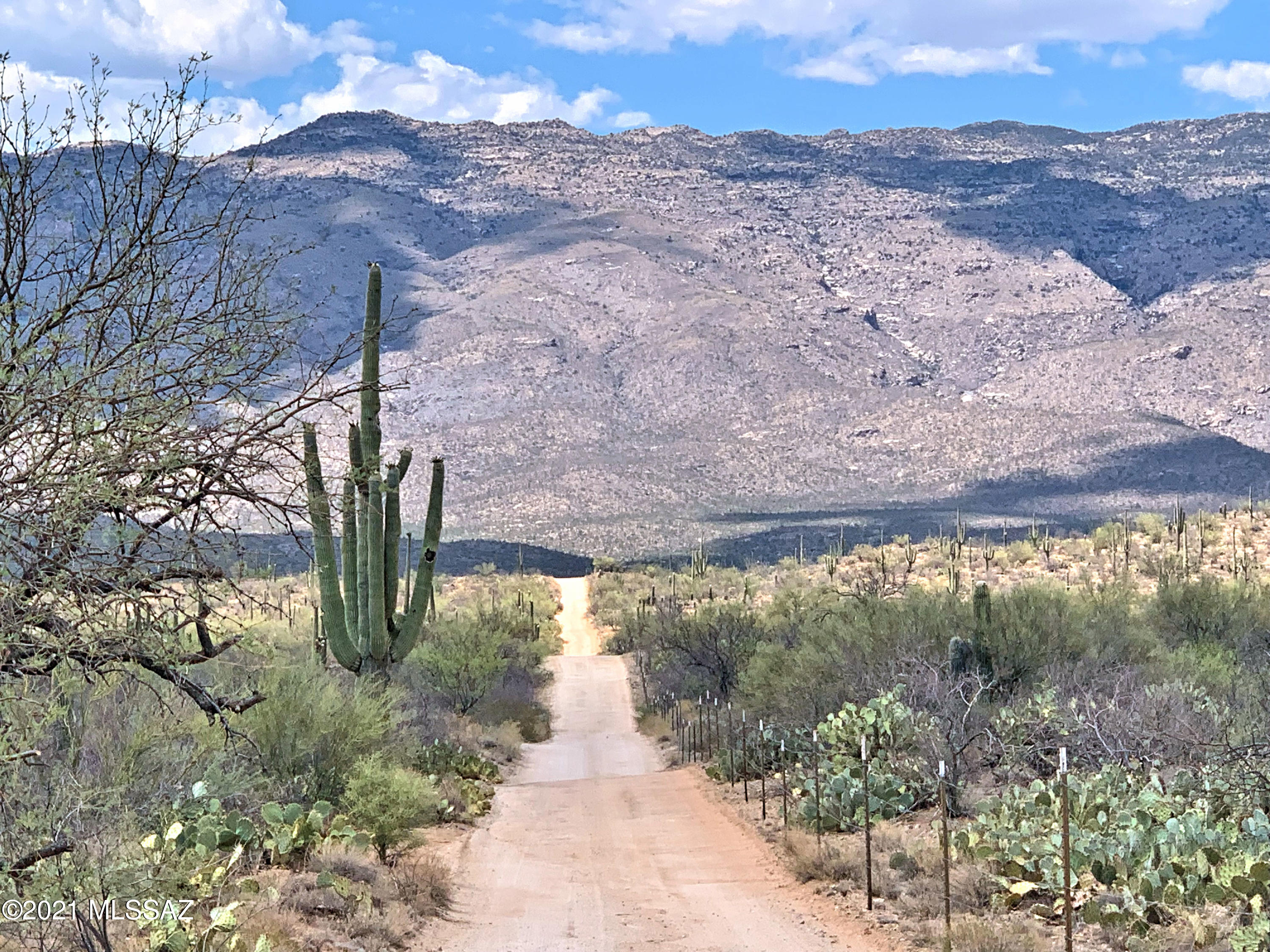 15810 E Colt Creek Place