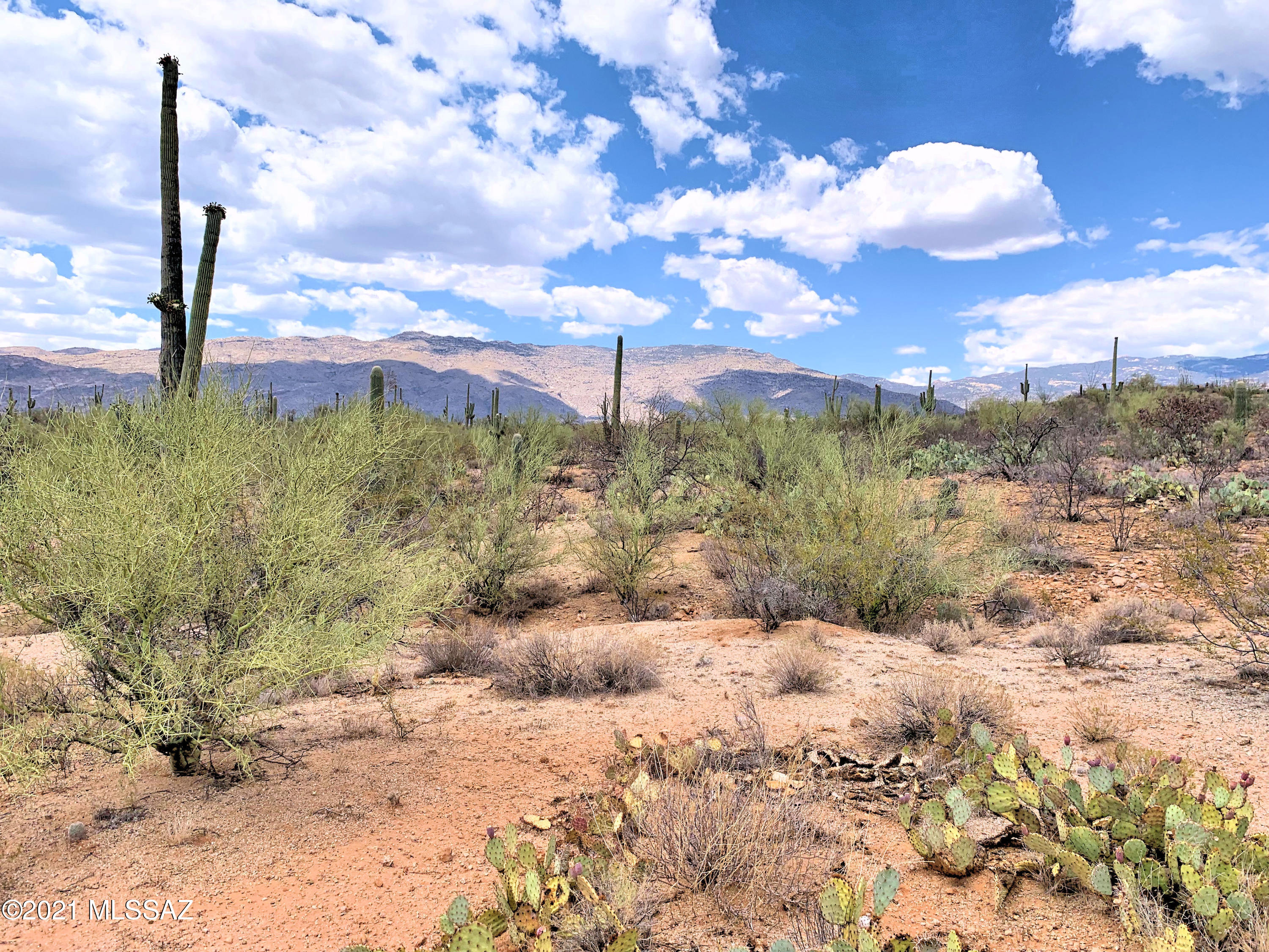 15810 E Colt Creek Place