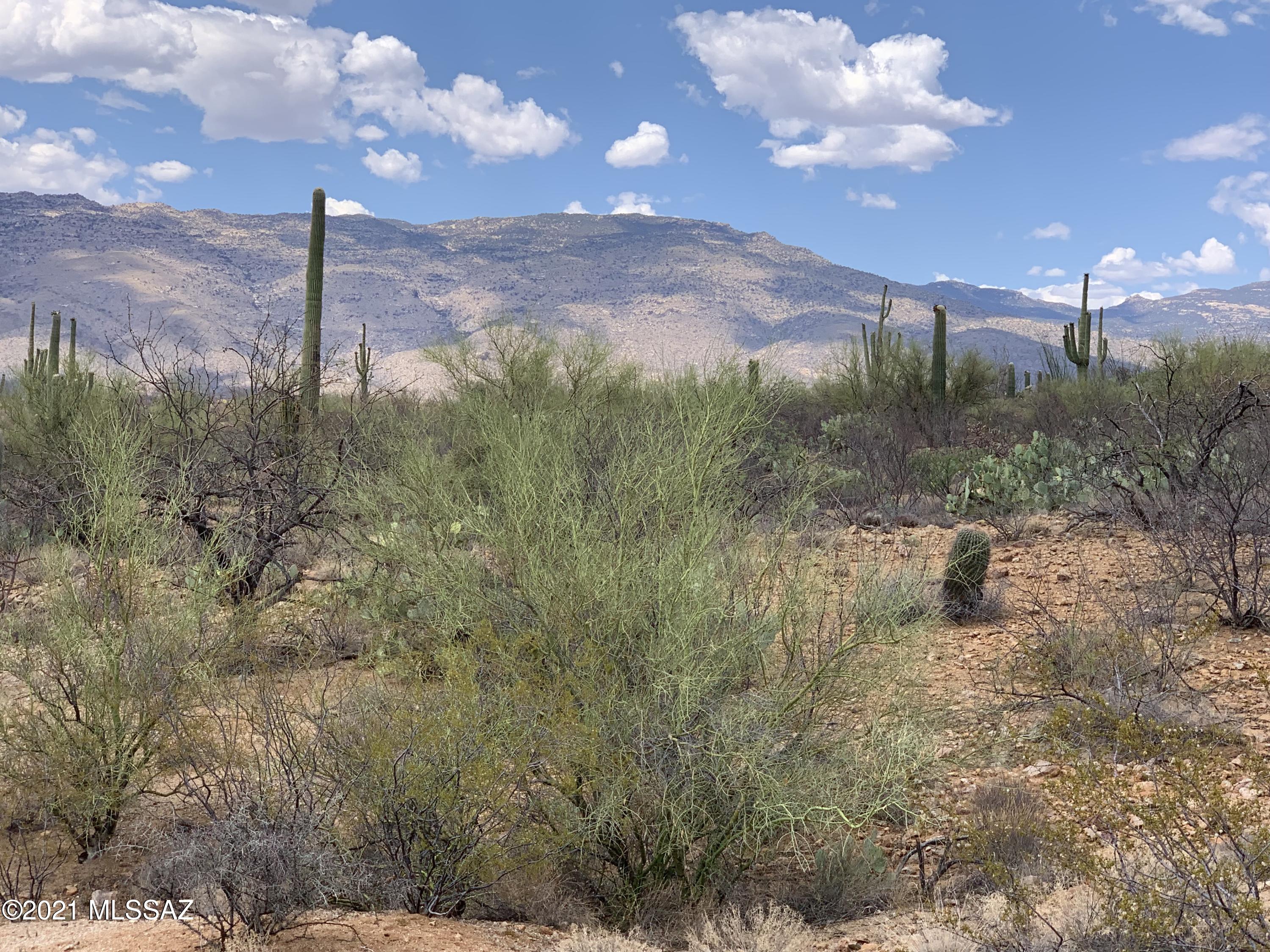 15810 E Colt Creek Place