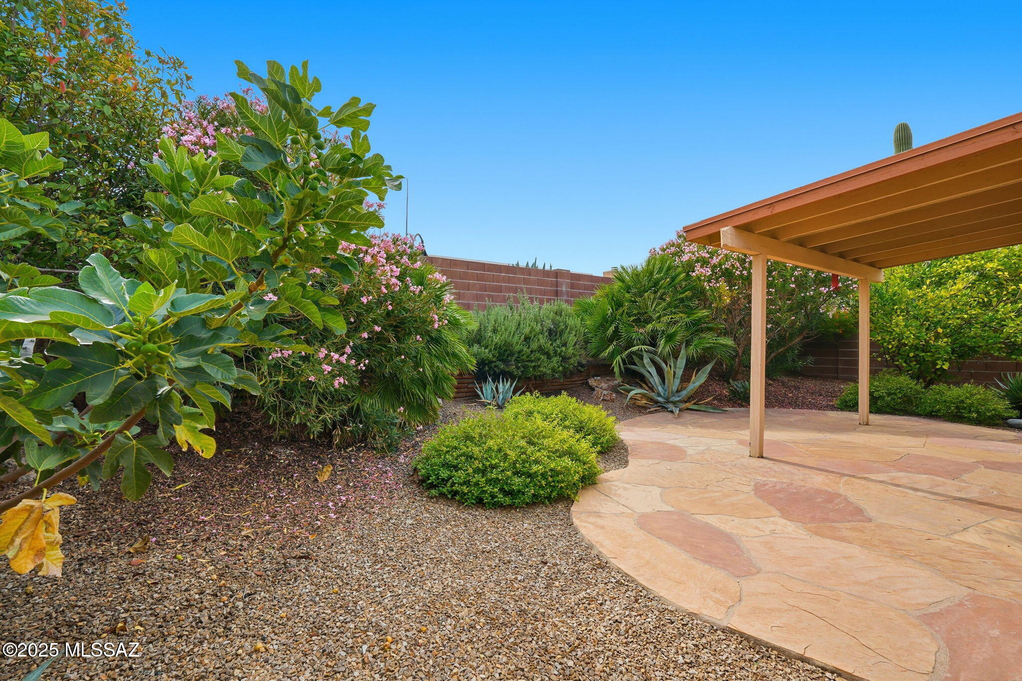 10240 E Juniper Basin Lane