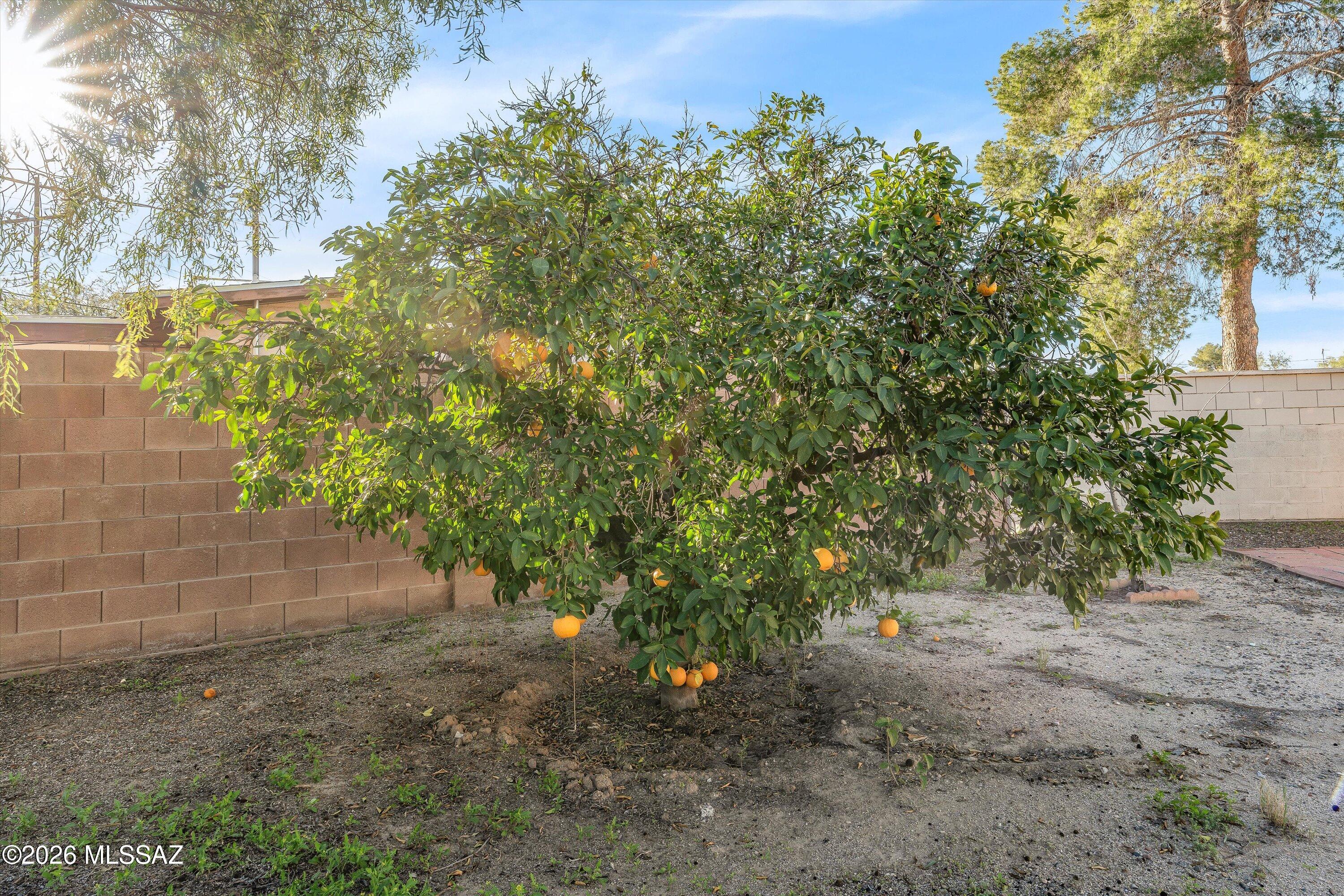 7931 E Malvern Place