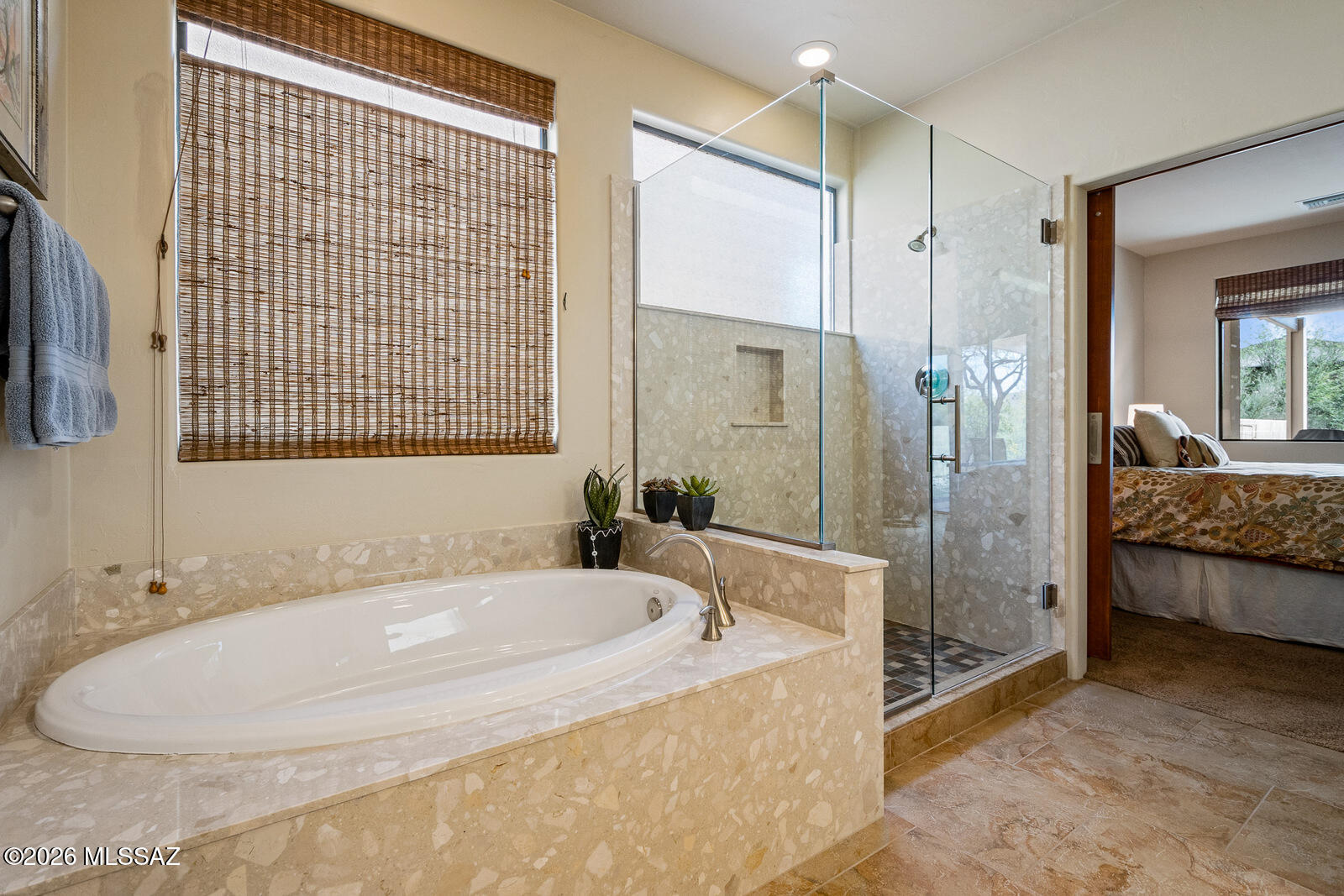 7360 E Sabino Terrace Place