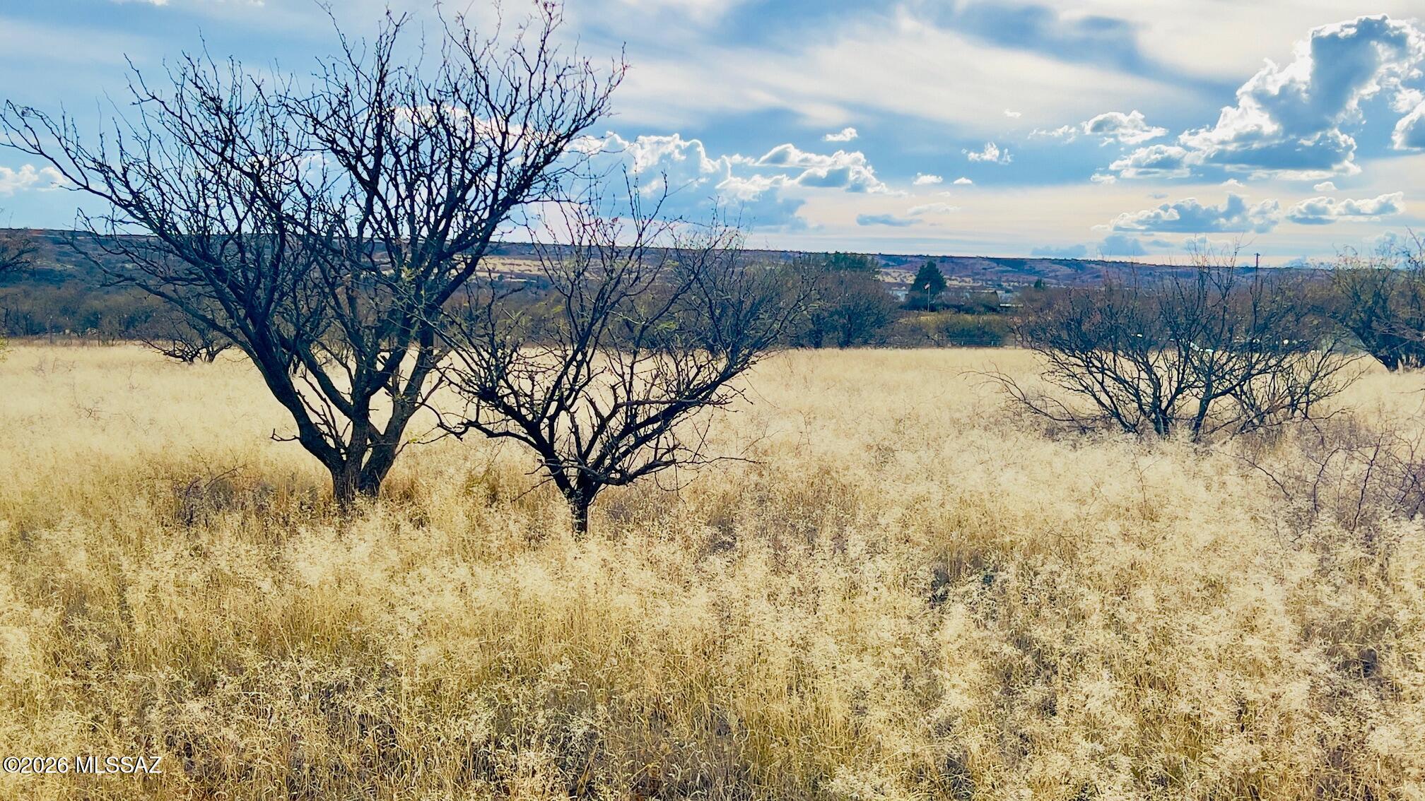 16133 E Yucca Ash Farm Road 1