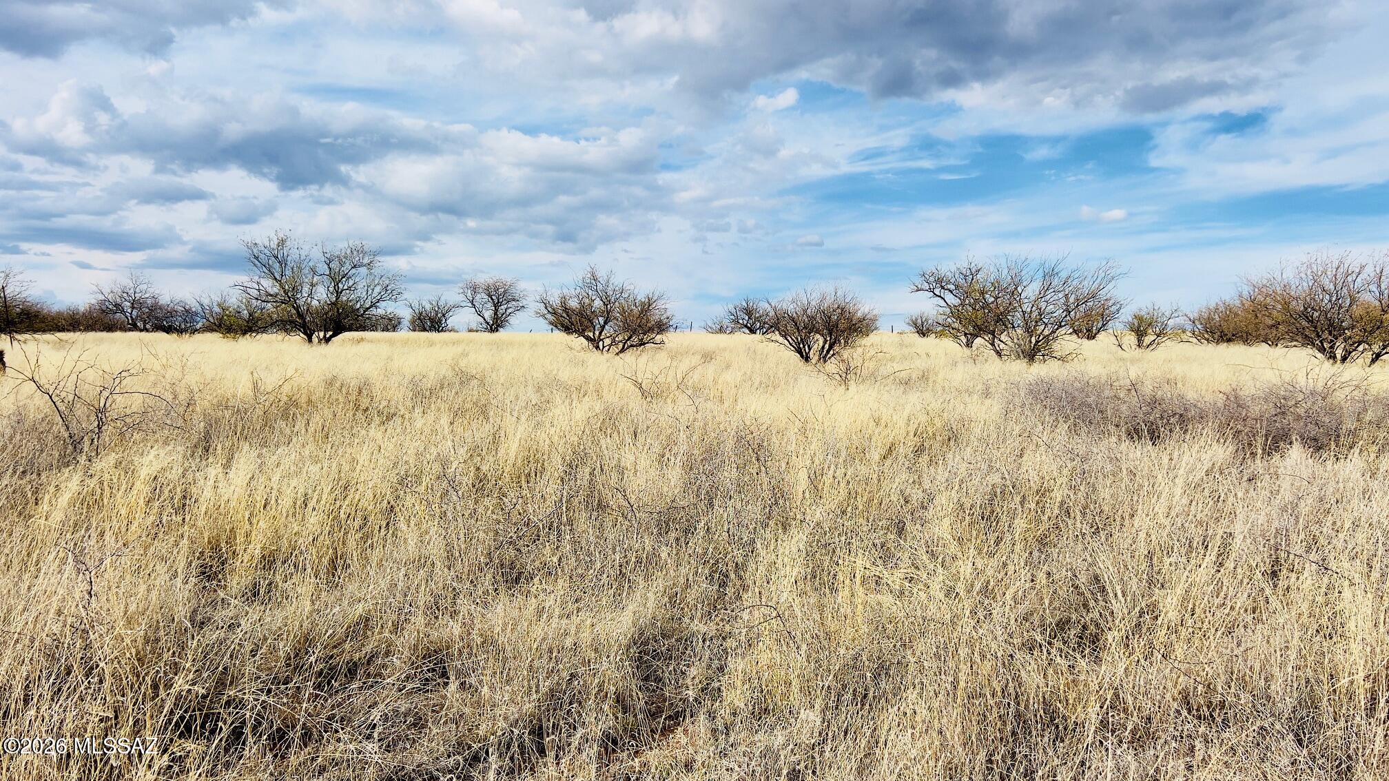 16133 E Yucca Ash Farm Road 1