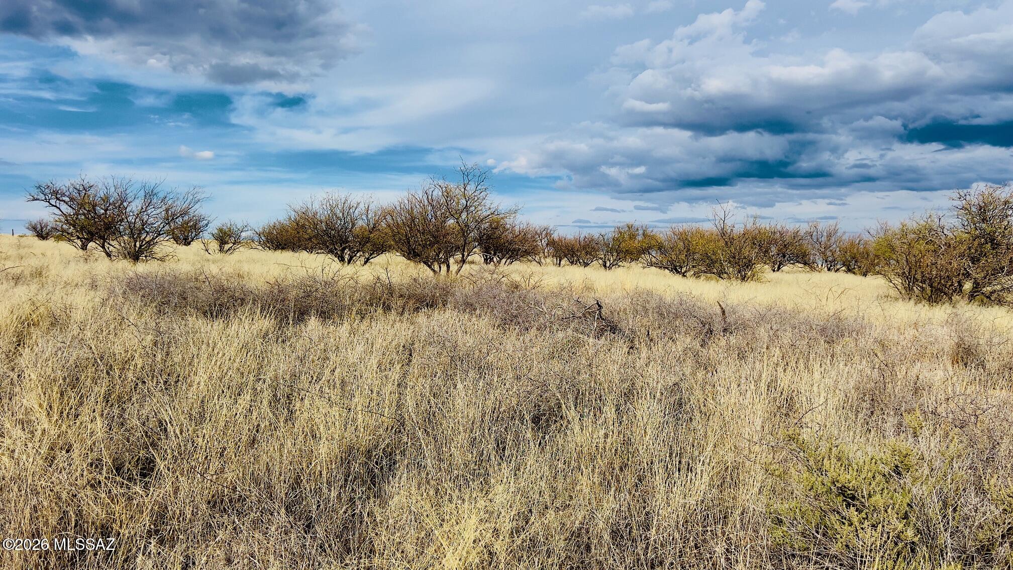 16133 E Yucca Ash Farm Road 1