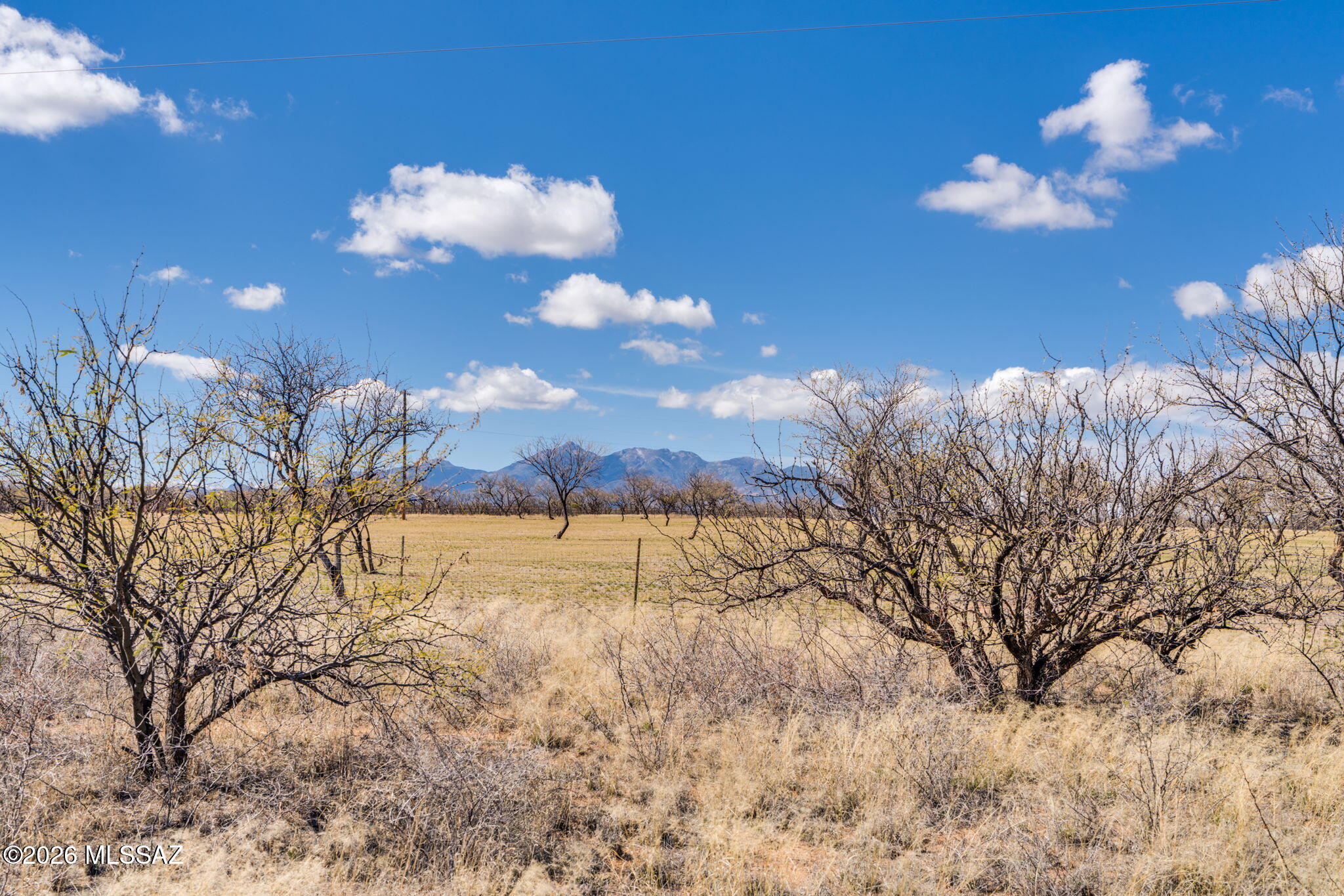 16133 E Yucca Ash Farm Road 1