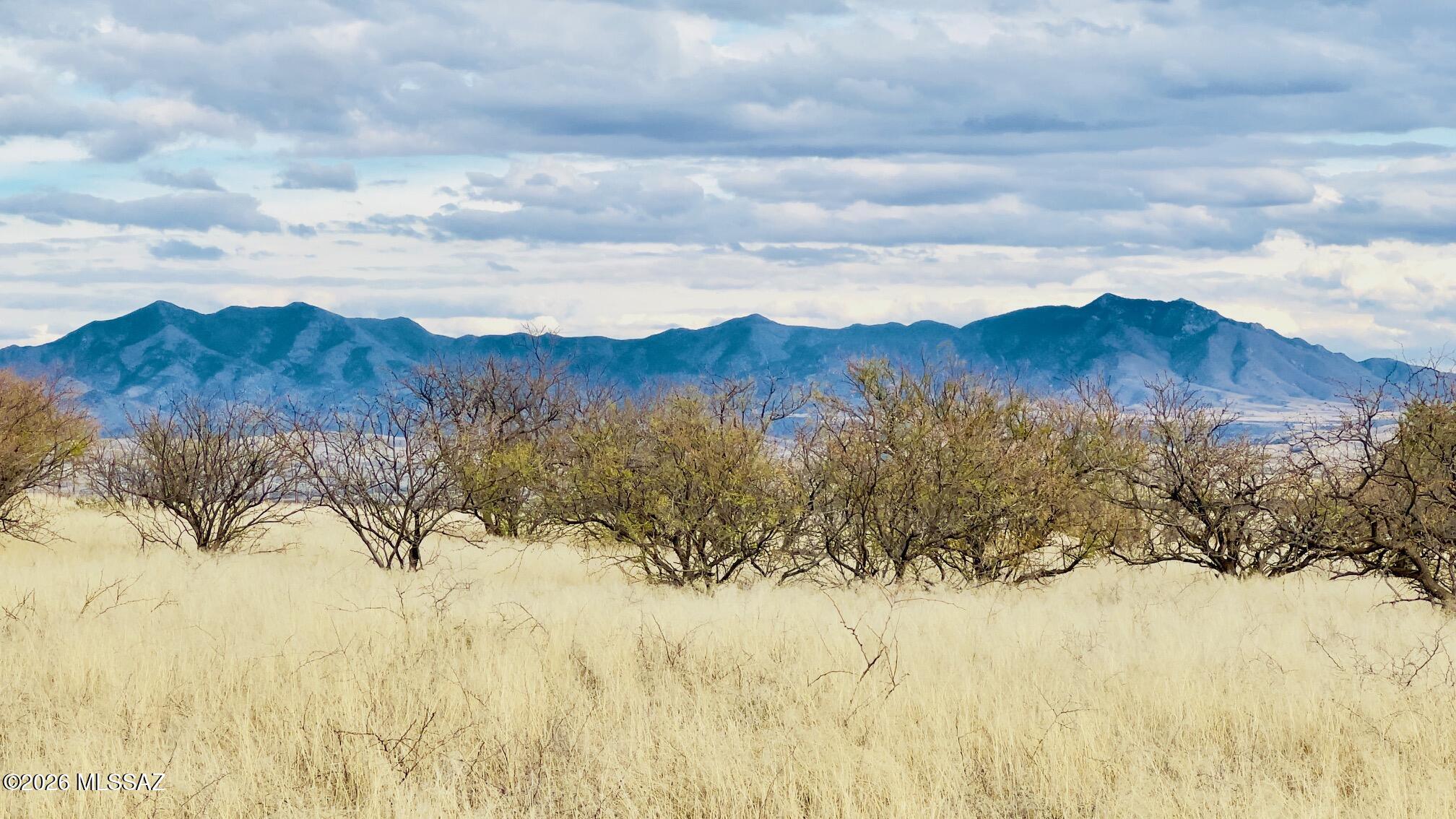 16133 E Yucca Ash Farm Road 1