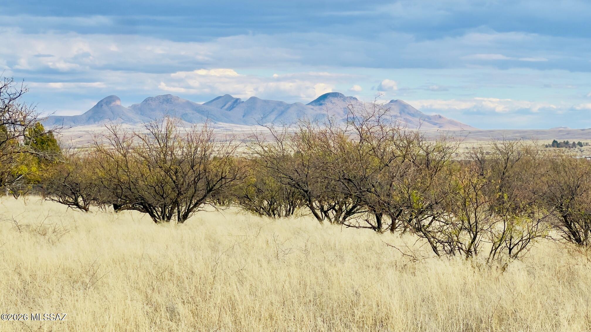 16133 E Yucca Ash Farm Road 1