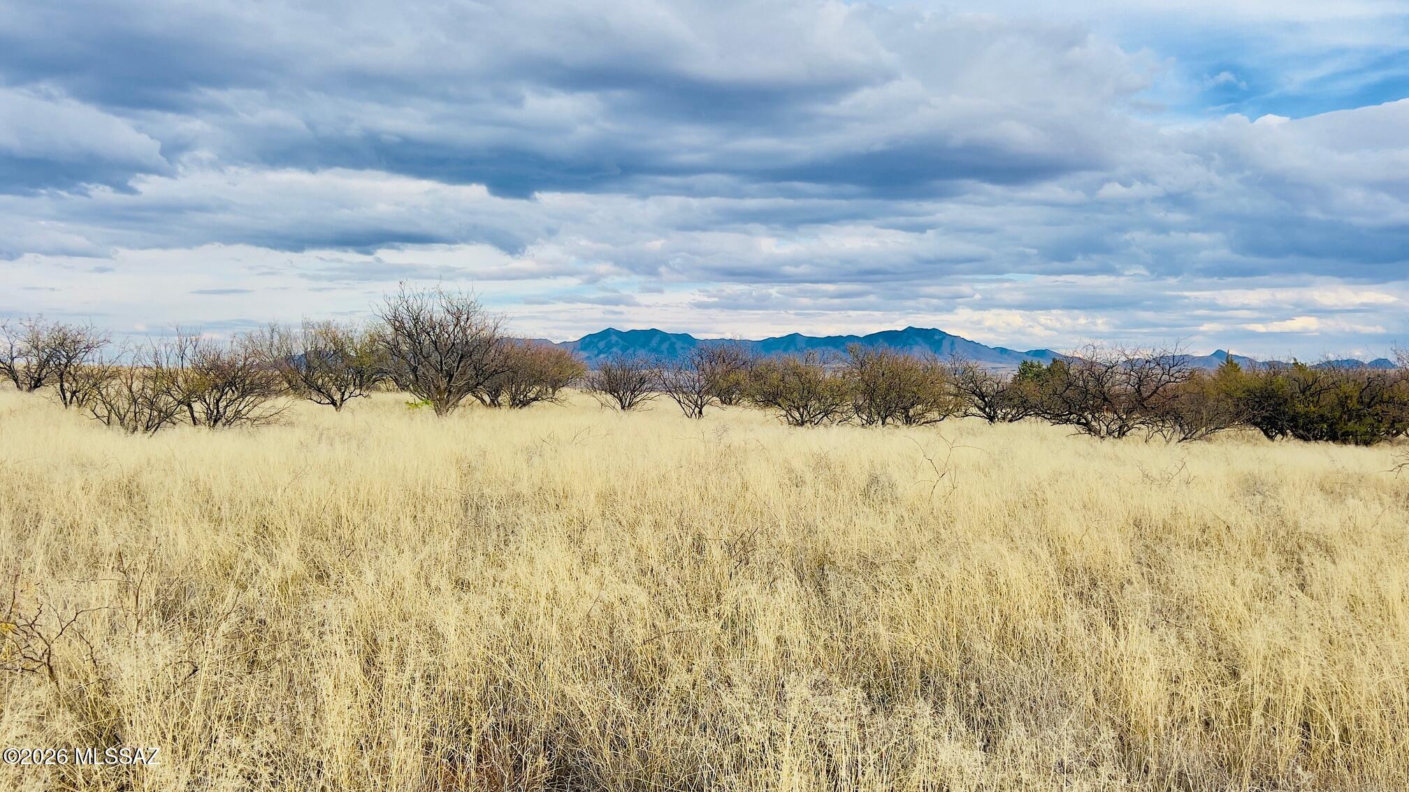 16133 E Yucca Ash Farm Road 1