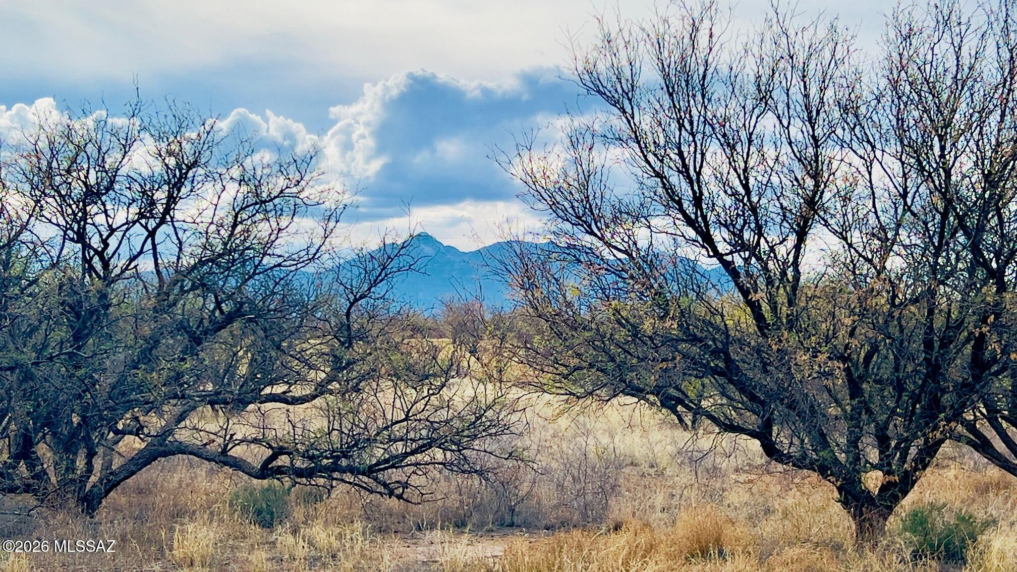 16133 E Yucca Ash Farm Road 1