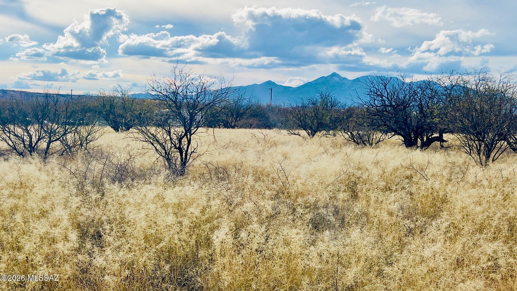 16133 E Yucca Ash Farm Road 1