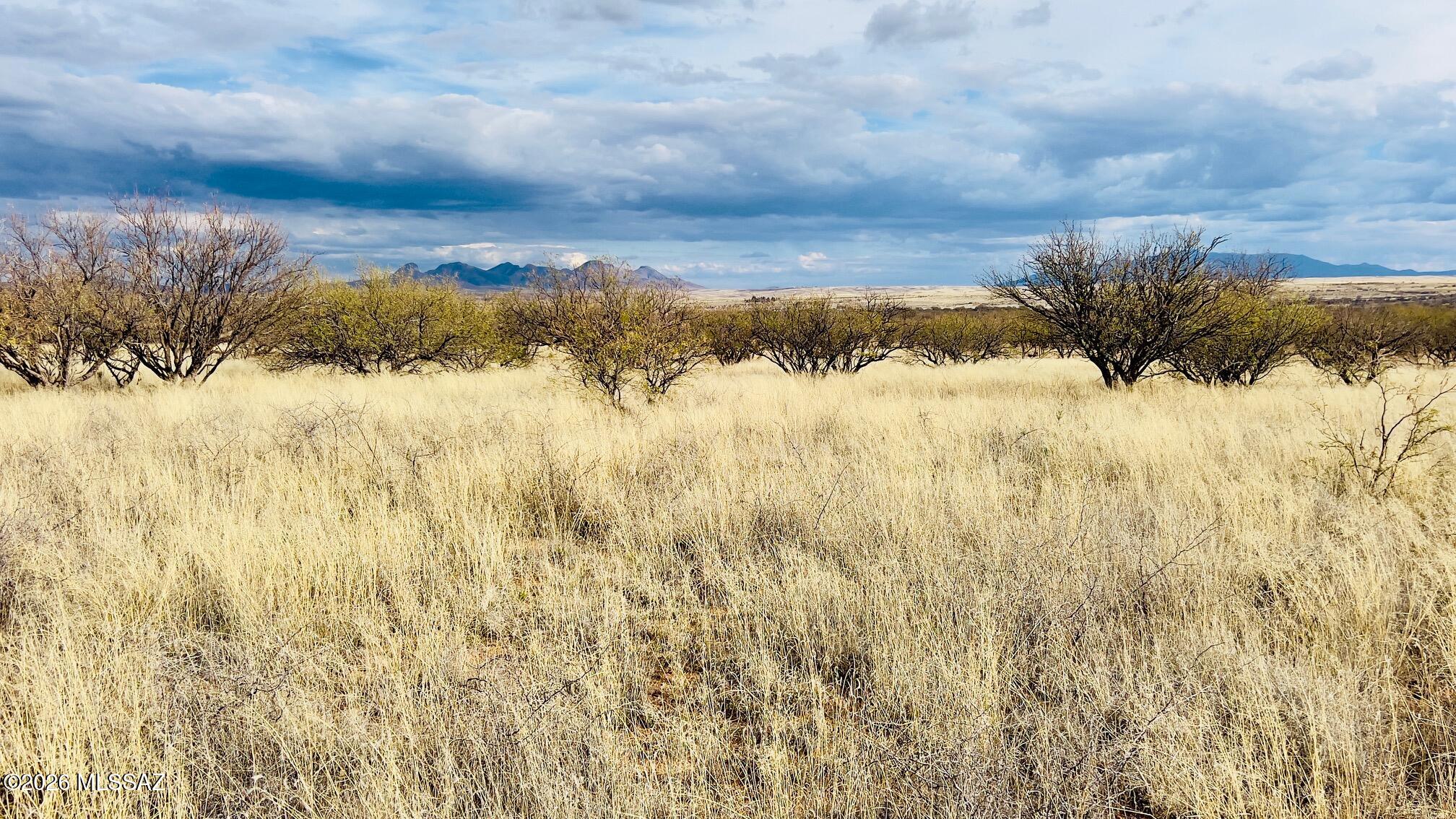 16133 E Yucca Ash Farm Road 1