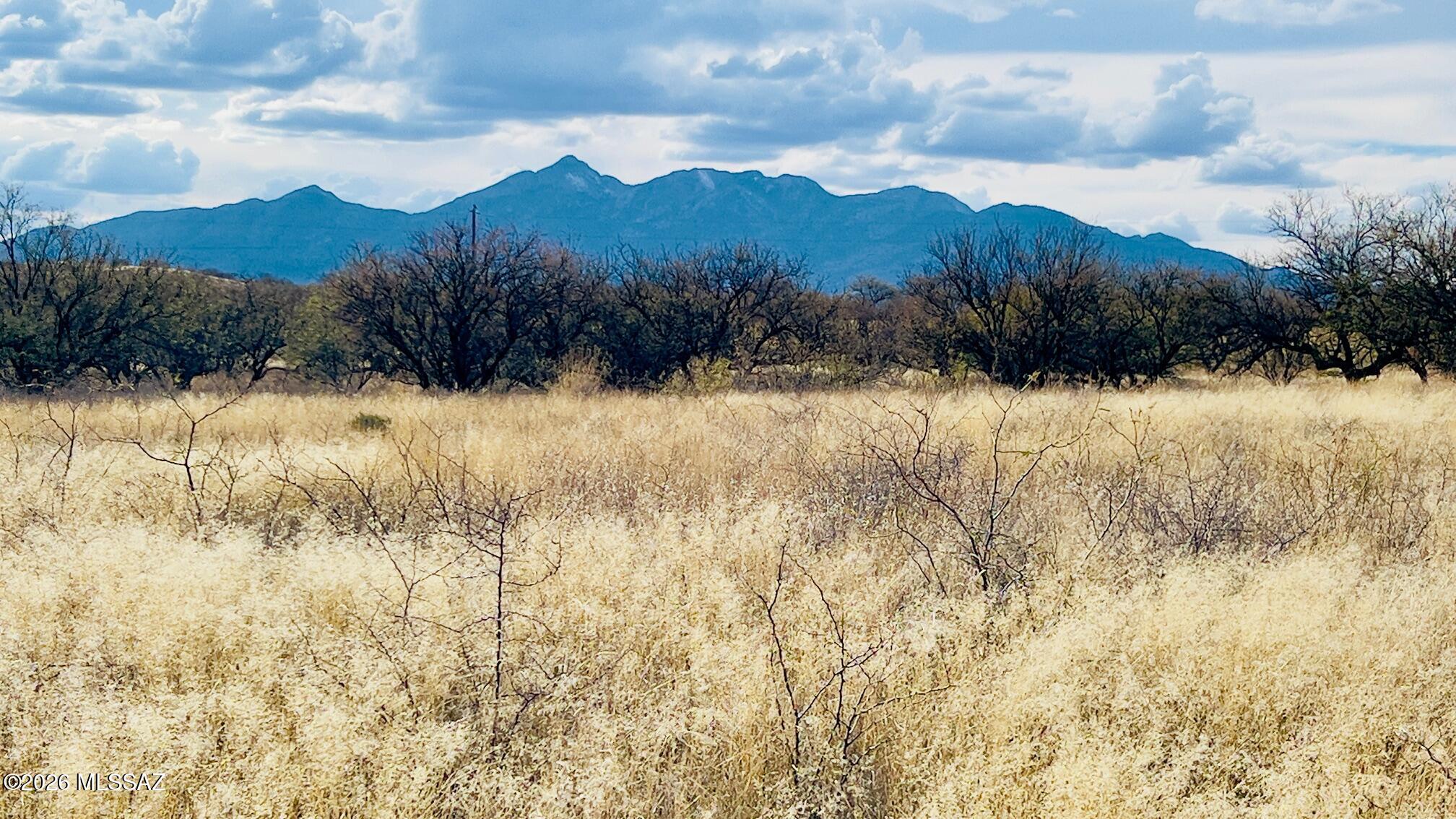 16133 E Yucca Ash Farm Road 1