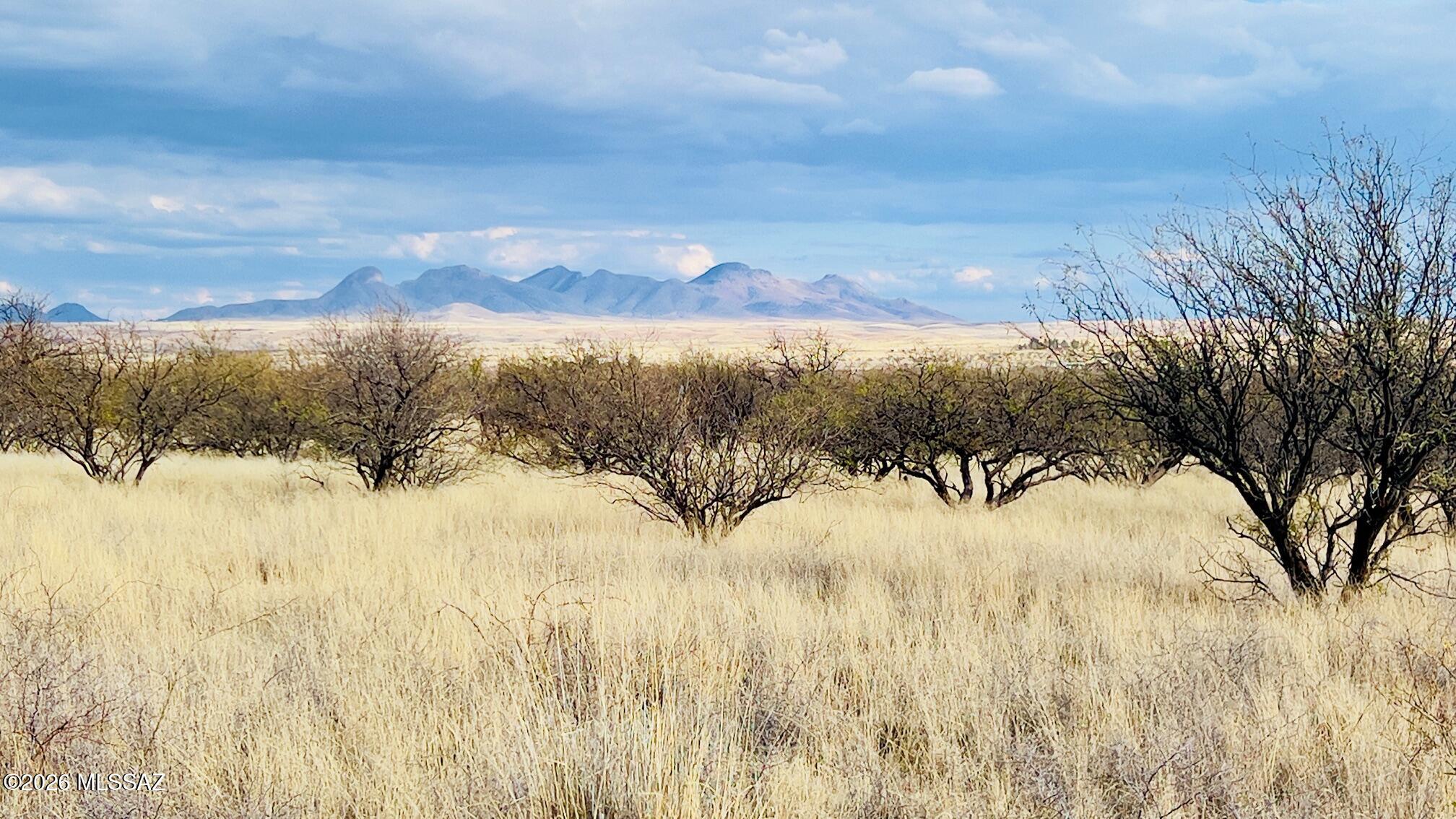 16133 E Yucca Ash Farm Road 1