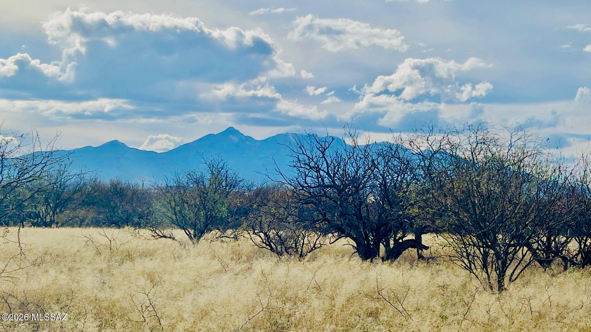 16133 E Yucca Ash Farm Road 1