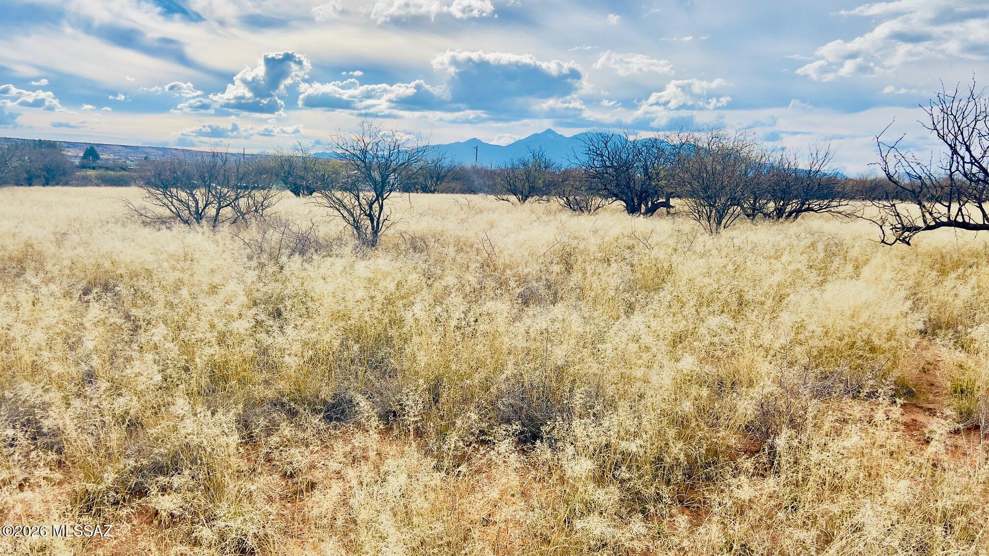 16133 E Yucca Ash Farm Road 1