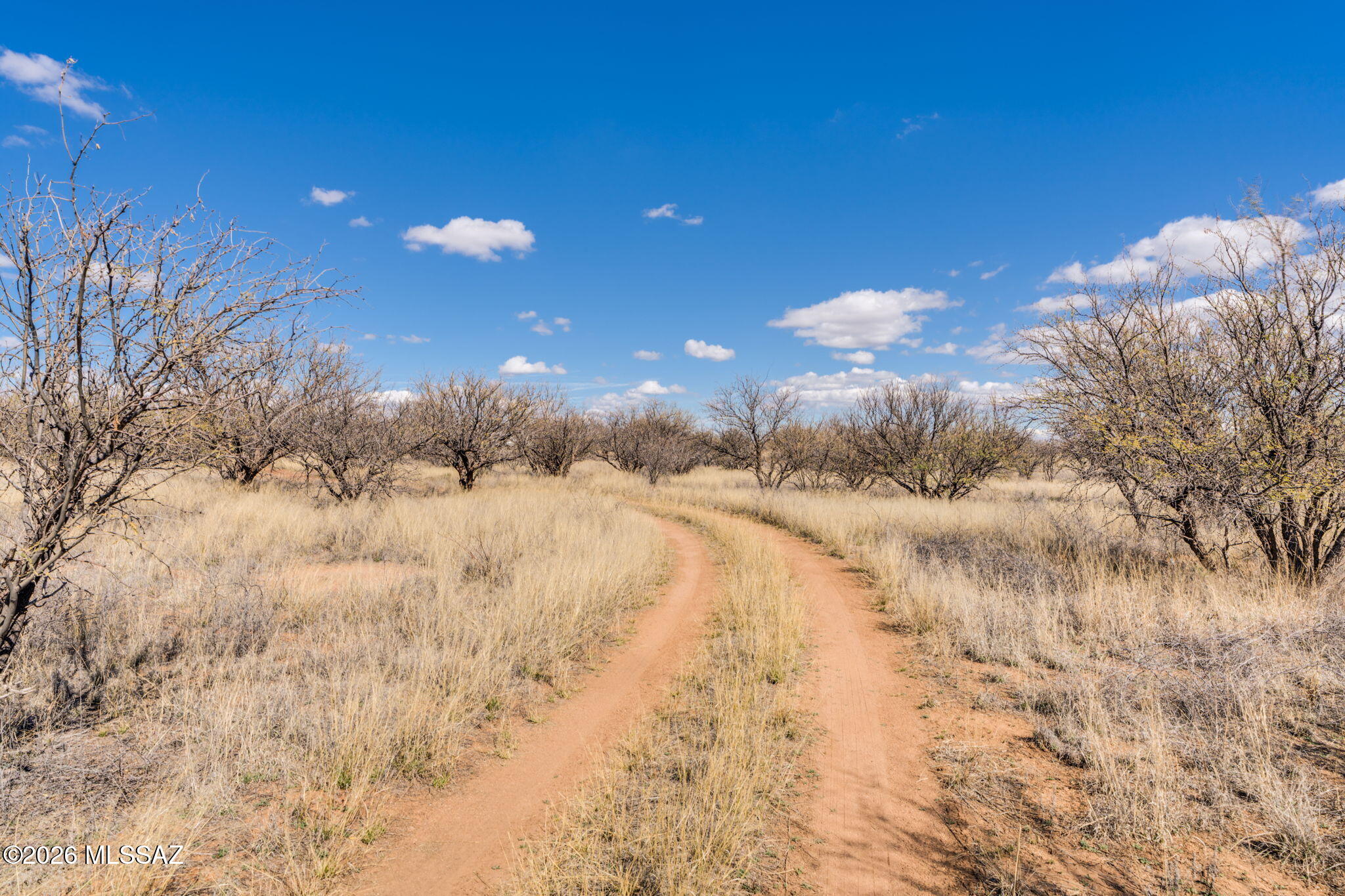 16133 E Yucca Ash Farm Road 1