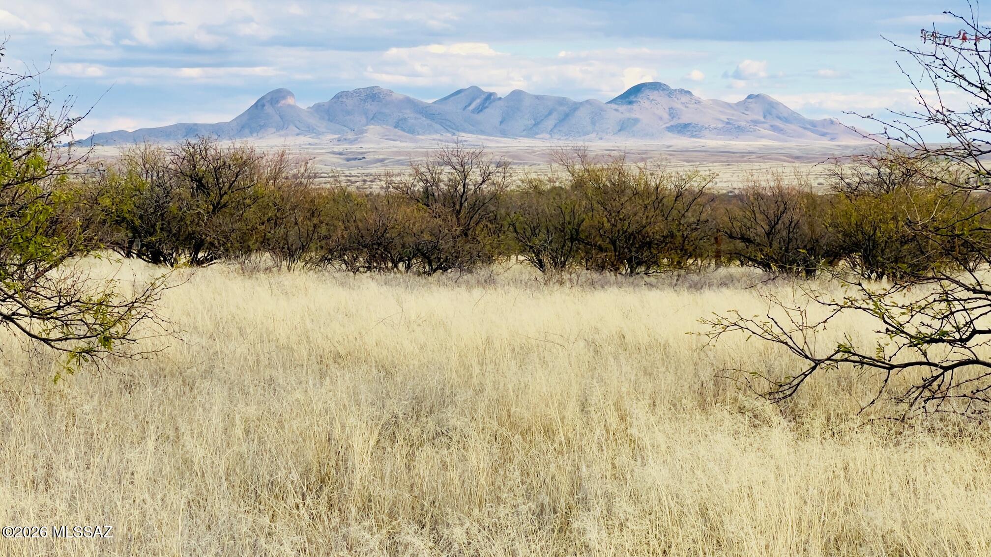 16133 E Yucca Ash Farm Road 1