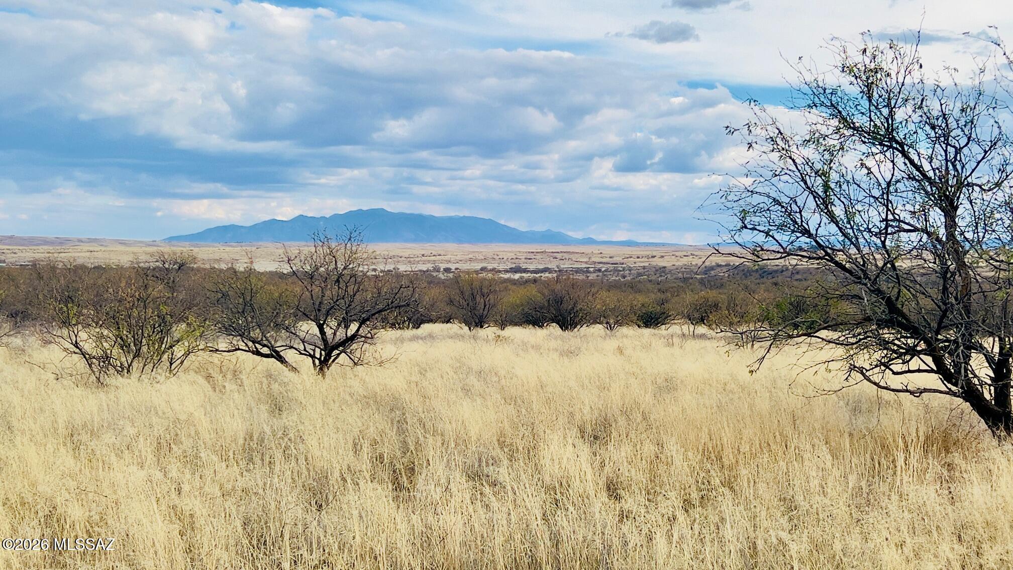 16133 E Yucca Ash Farm Road 1