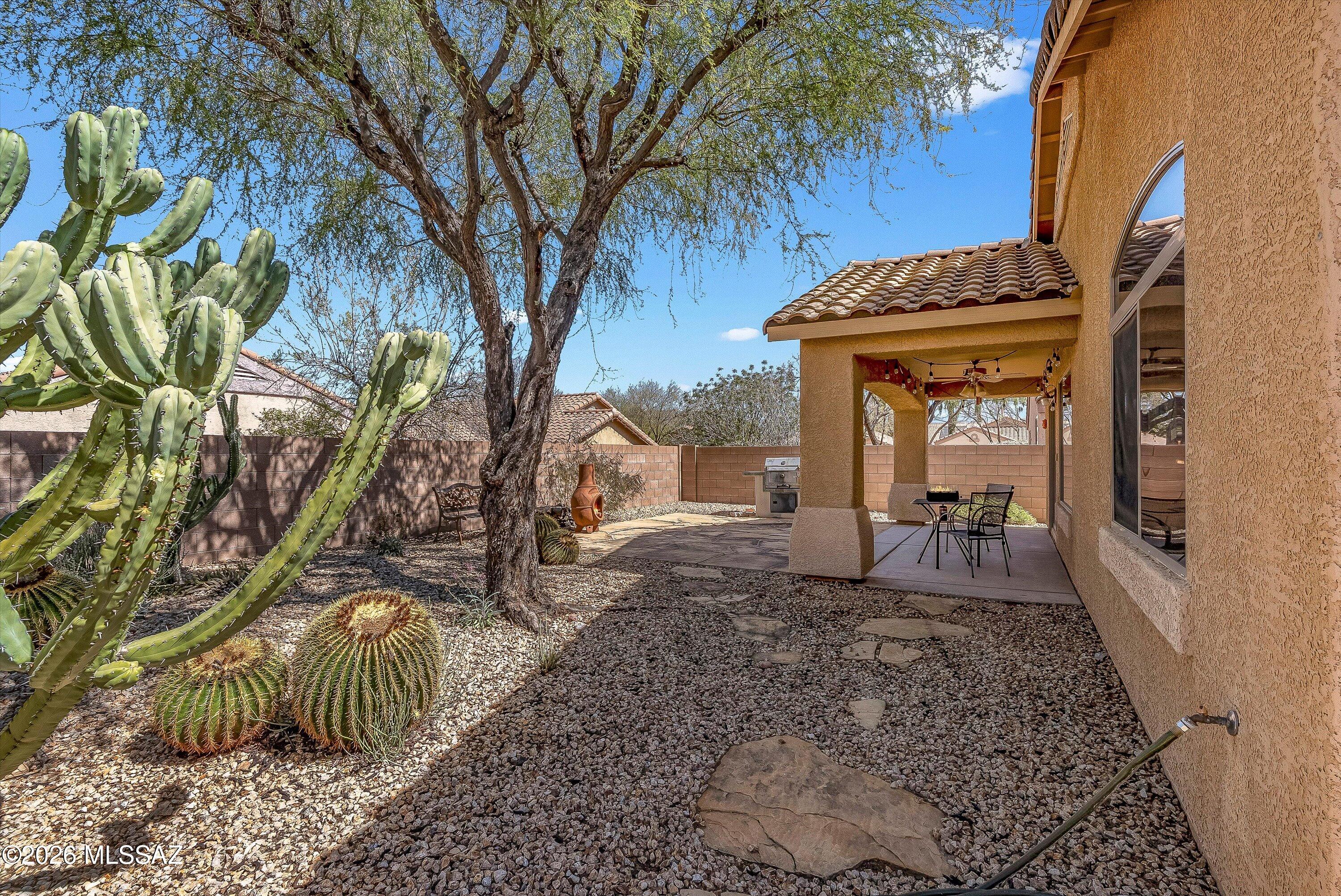 10589 E Feltleaf Willow Trail